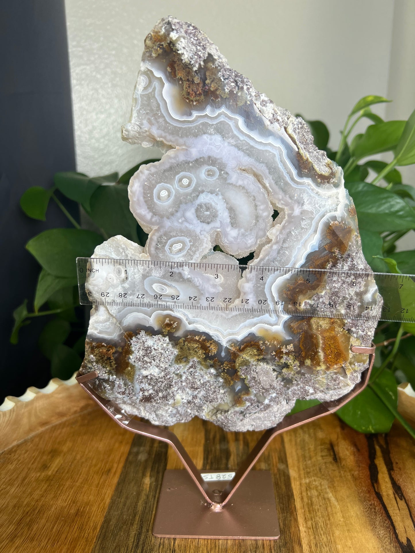 Scenic Moss Agate Slab