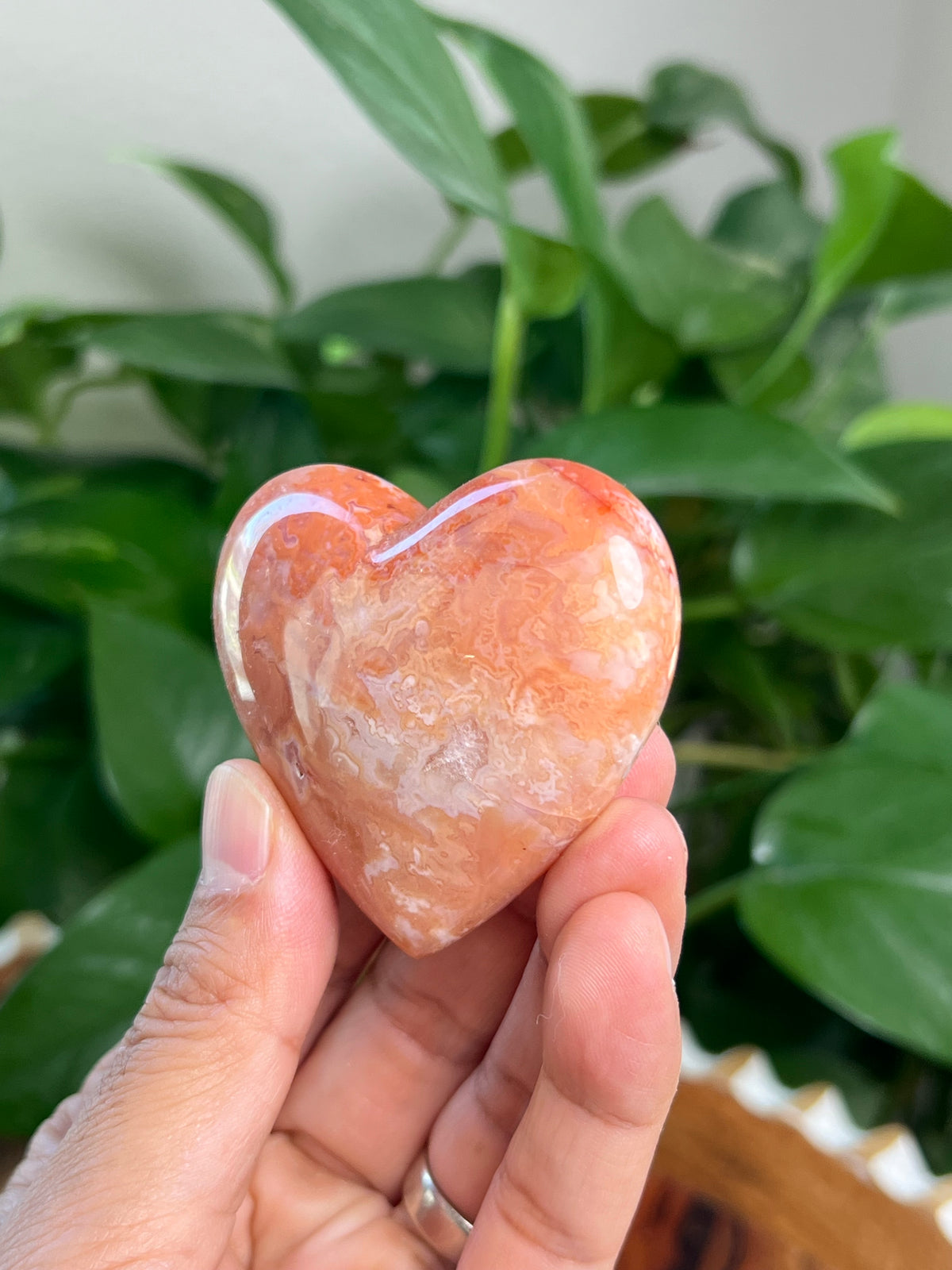 Carnelian Heart: MD