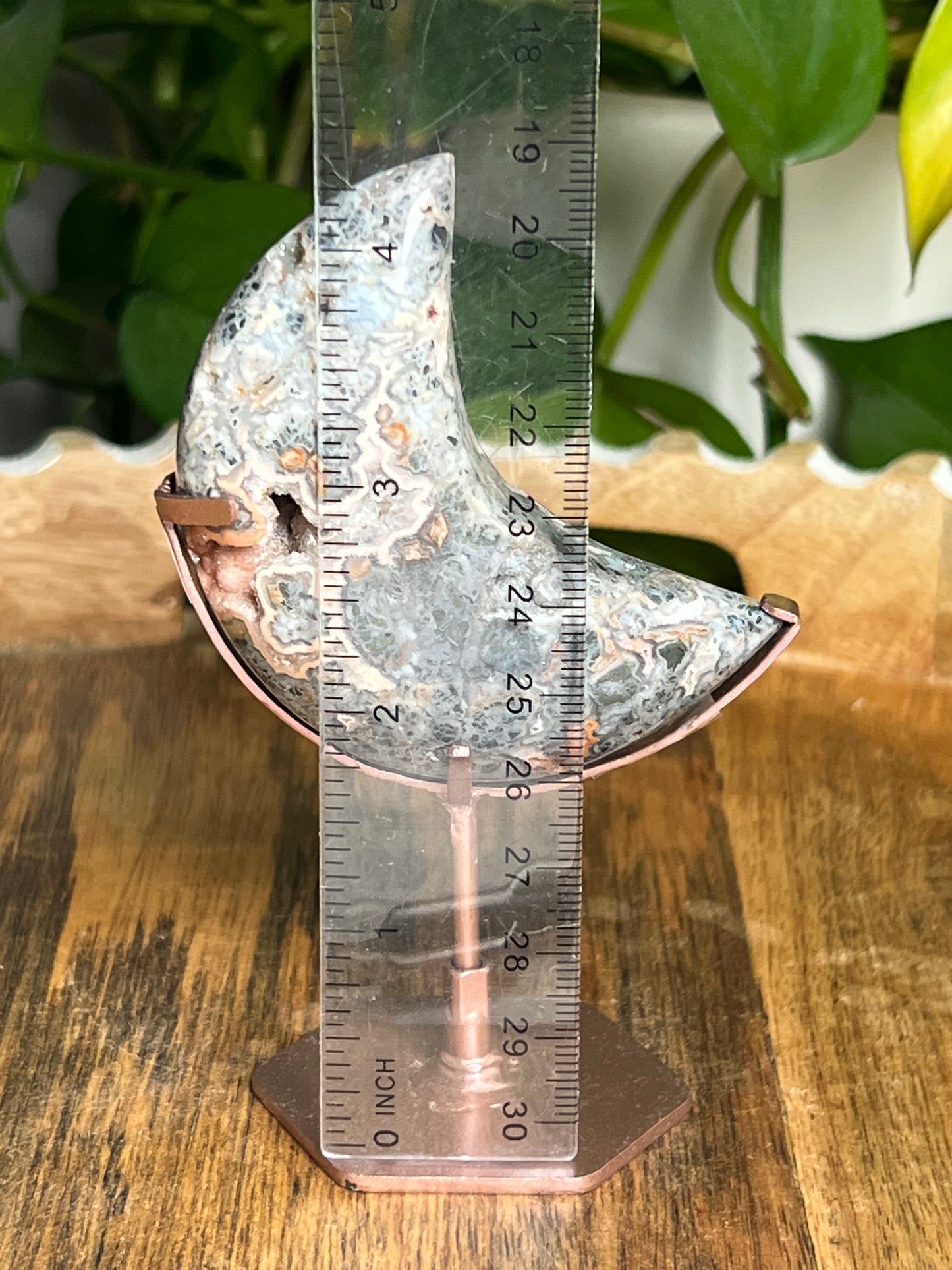 Marcasite Moon DN