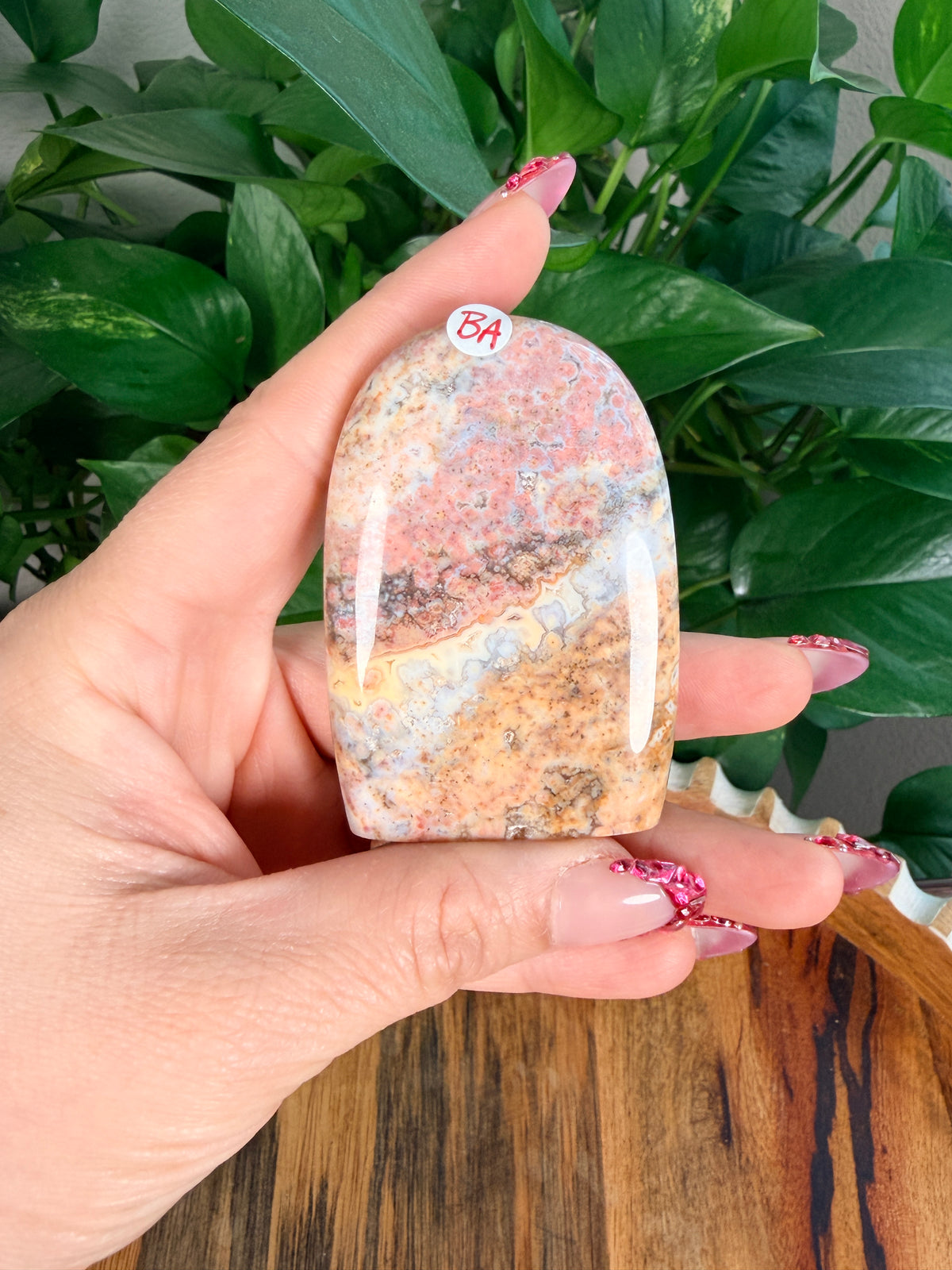 Sea Jasper Mini Freeforms