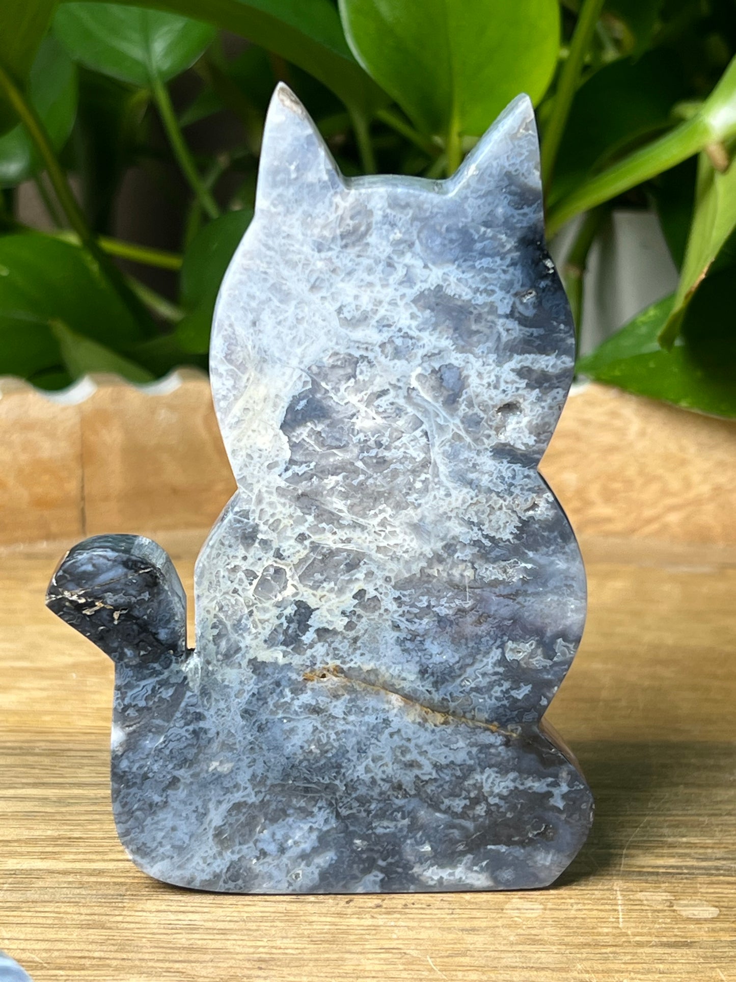 Blue Plume Agate Cat