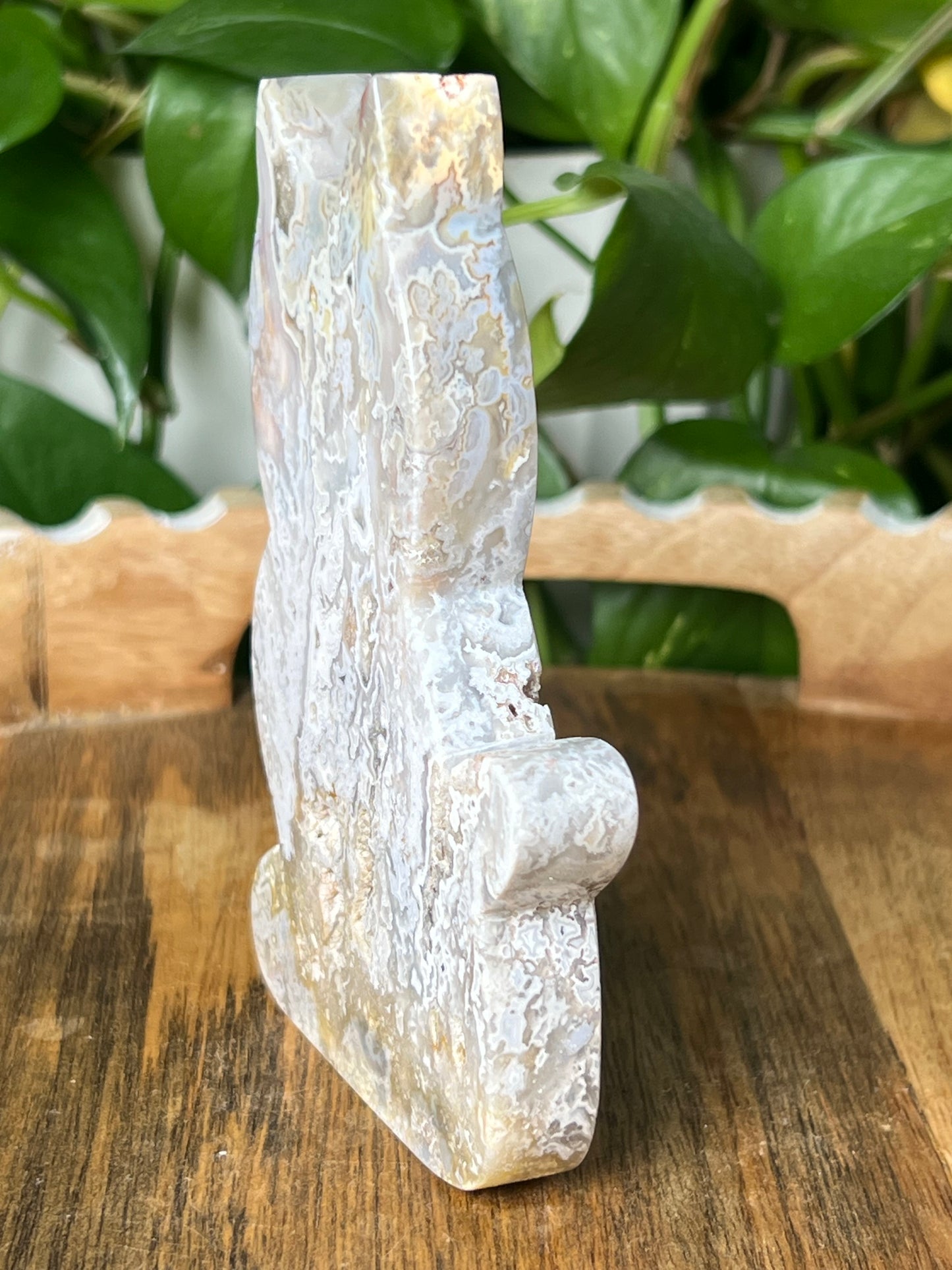 Sumatra Plume Agate Cat