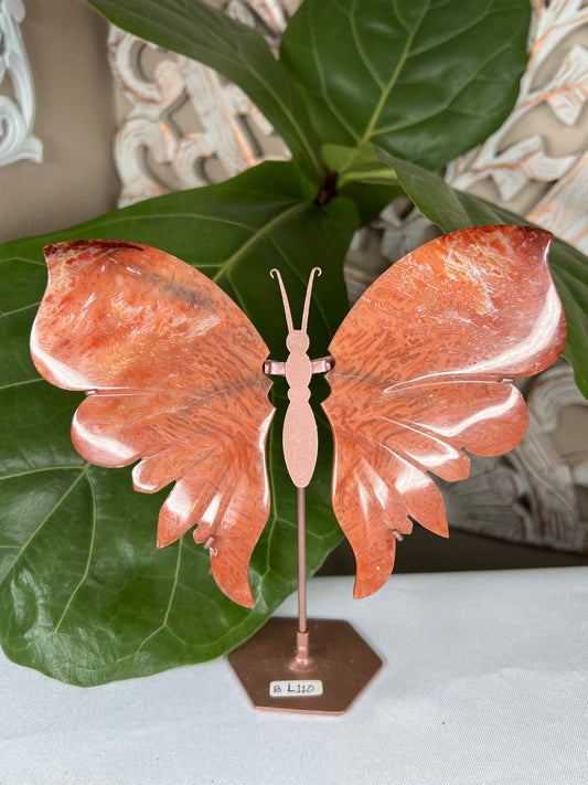 Carnelian Wings