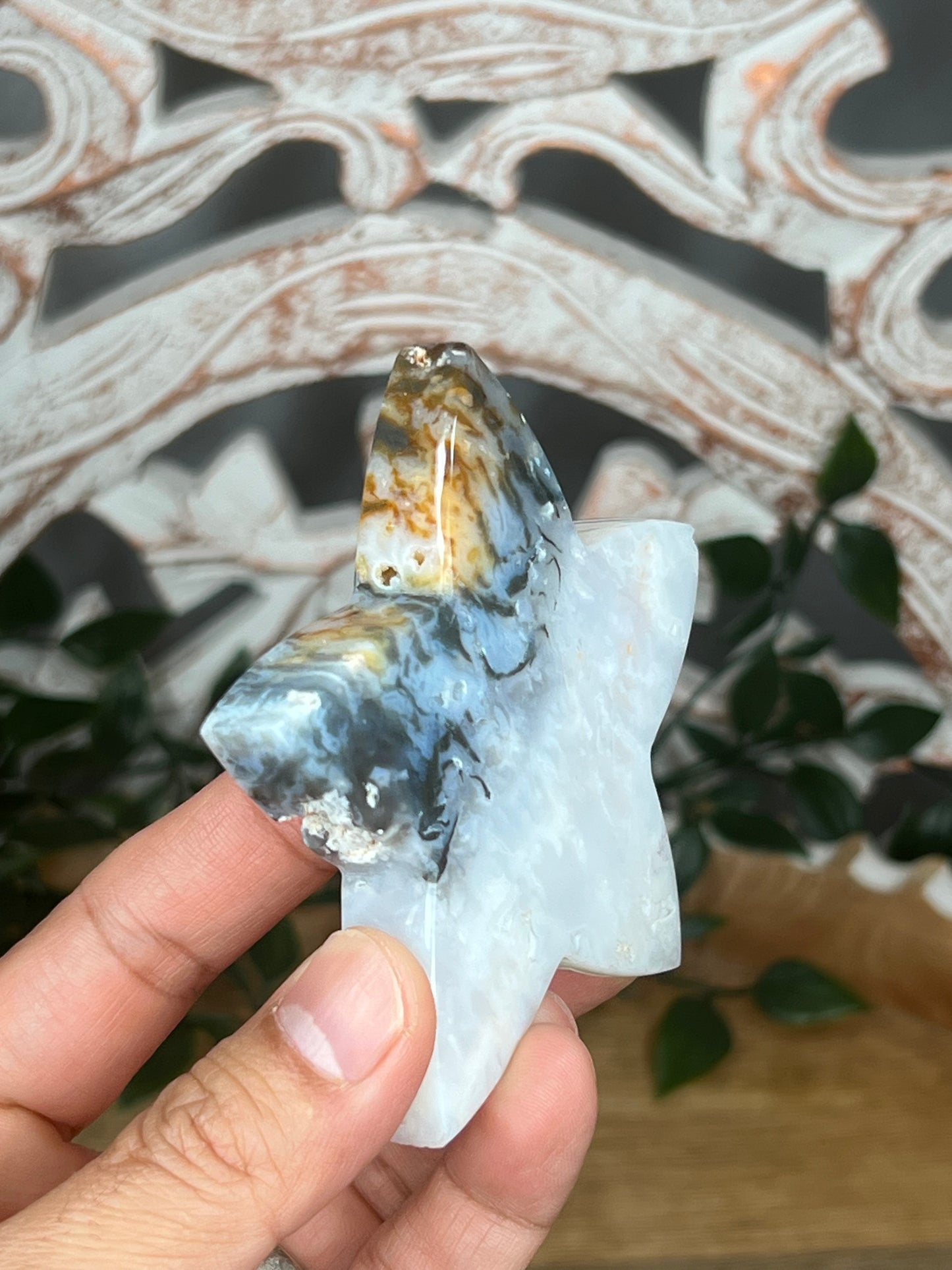 Rainbow Plume Agate Star