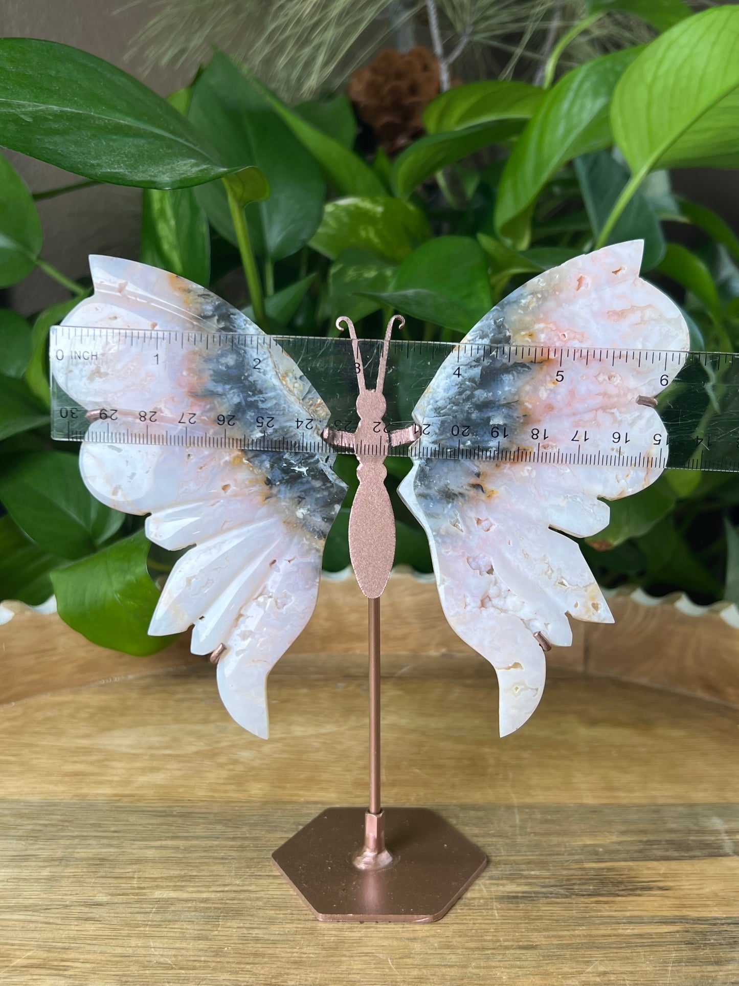 Rainbow Plume Agate Wings