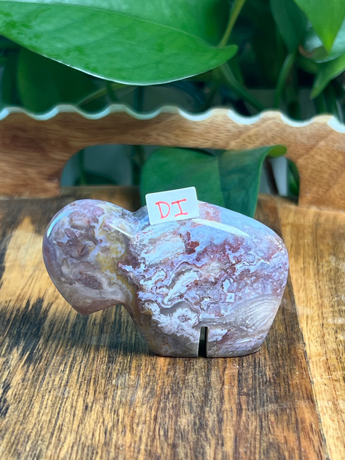 Sumatra Plume Agate Mini Buffalos