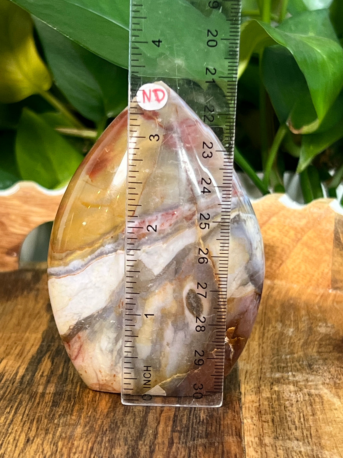 River Jasper Flames