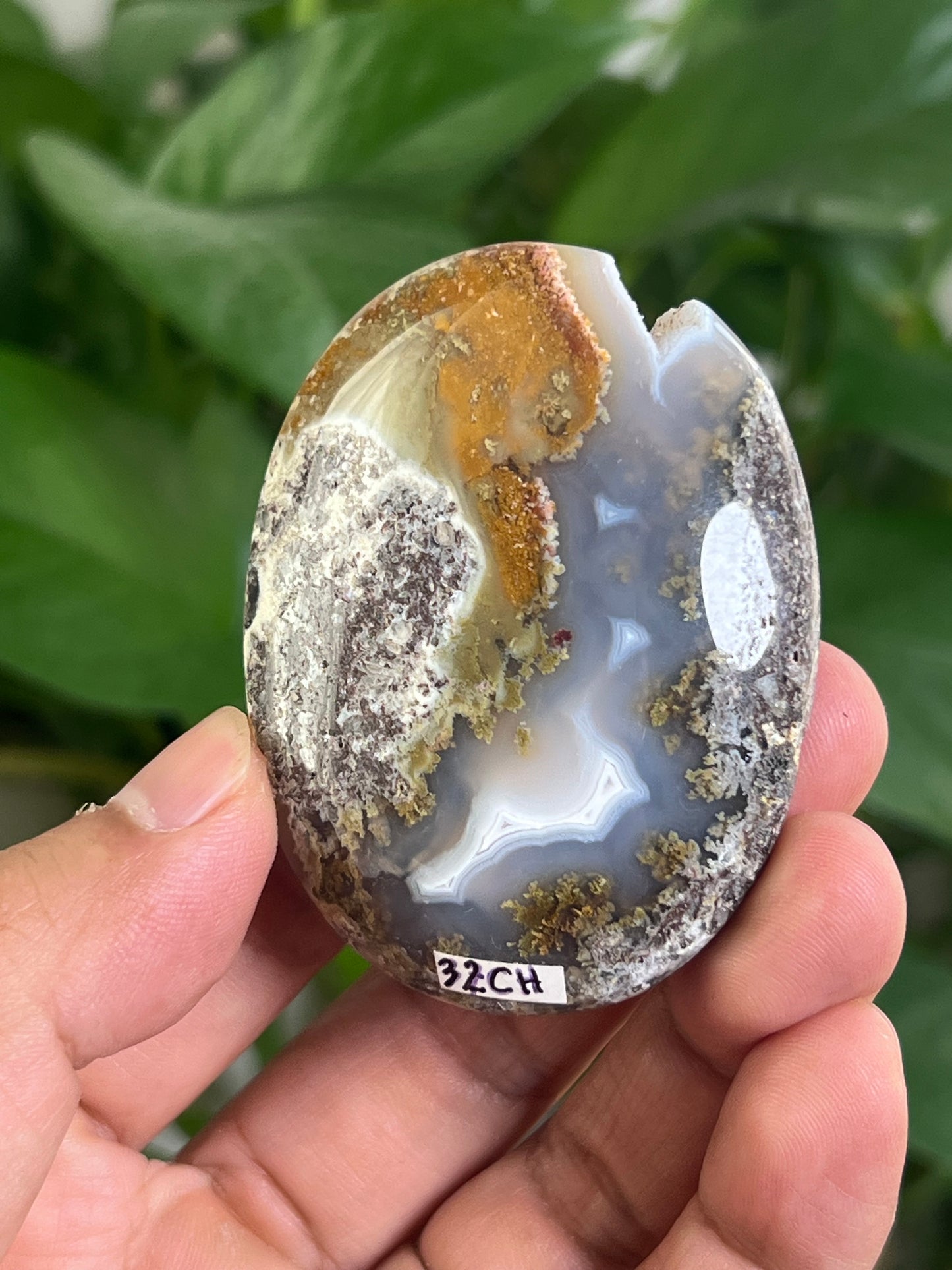 Scenic Moss Agate Palmstone: CH