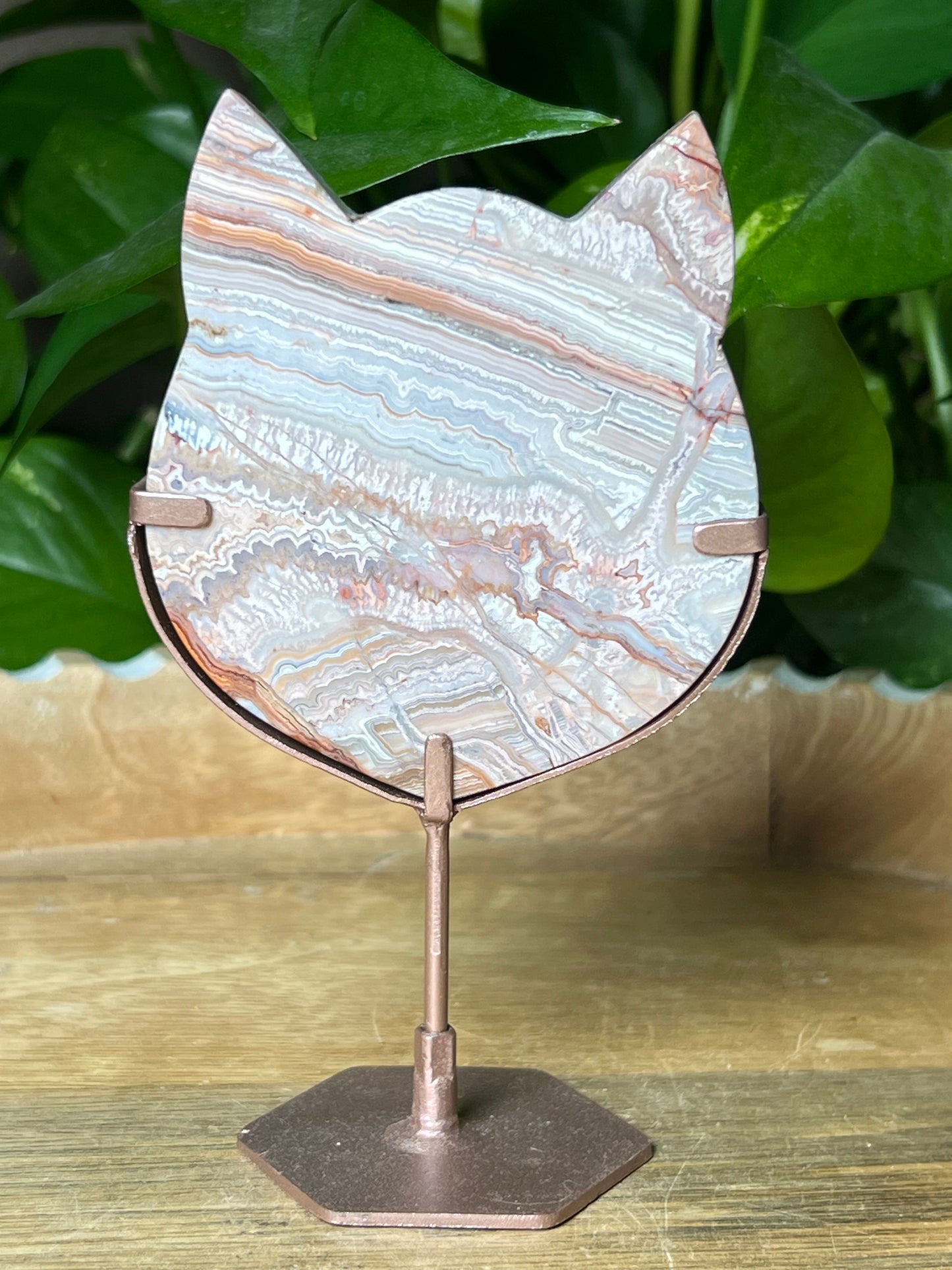 Crazy Lace Agate Cat Head