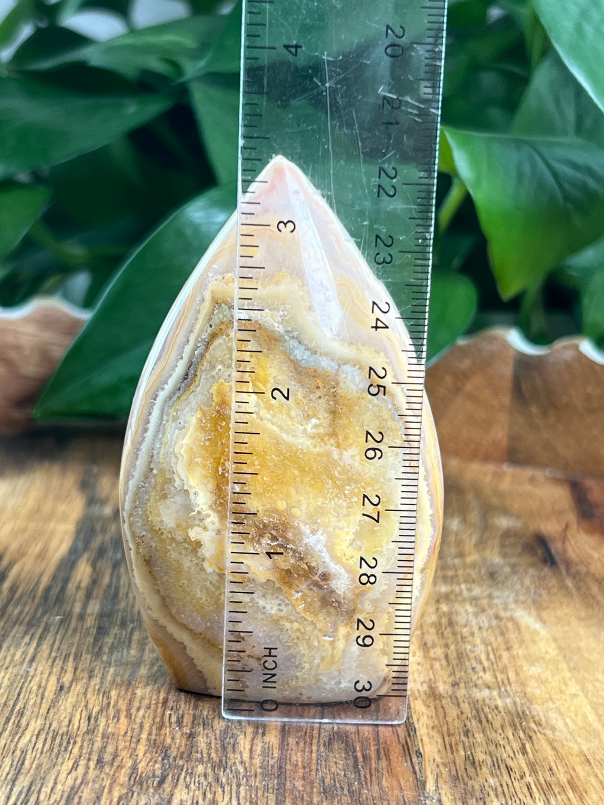 Crazy Lace Agate Flame: BG
