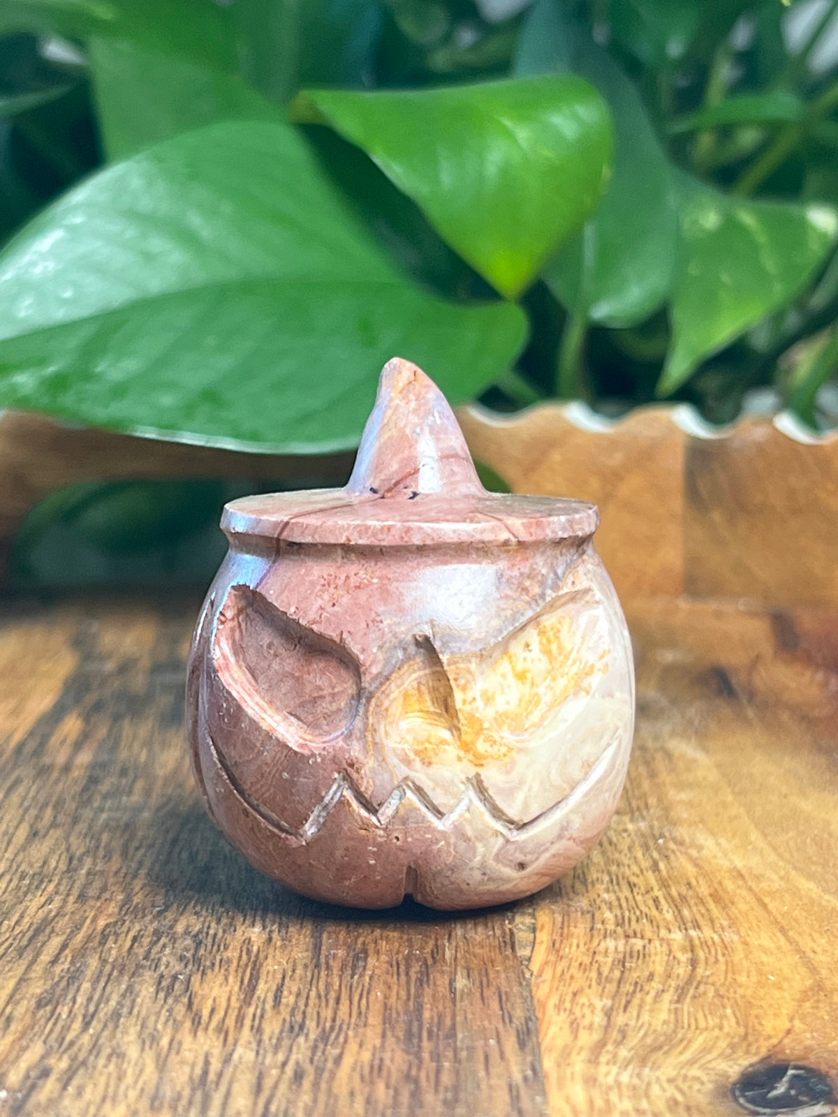 Pink Polycrome Pumpkin: C