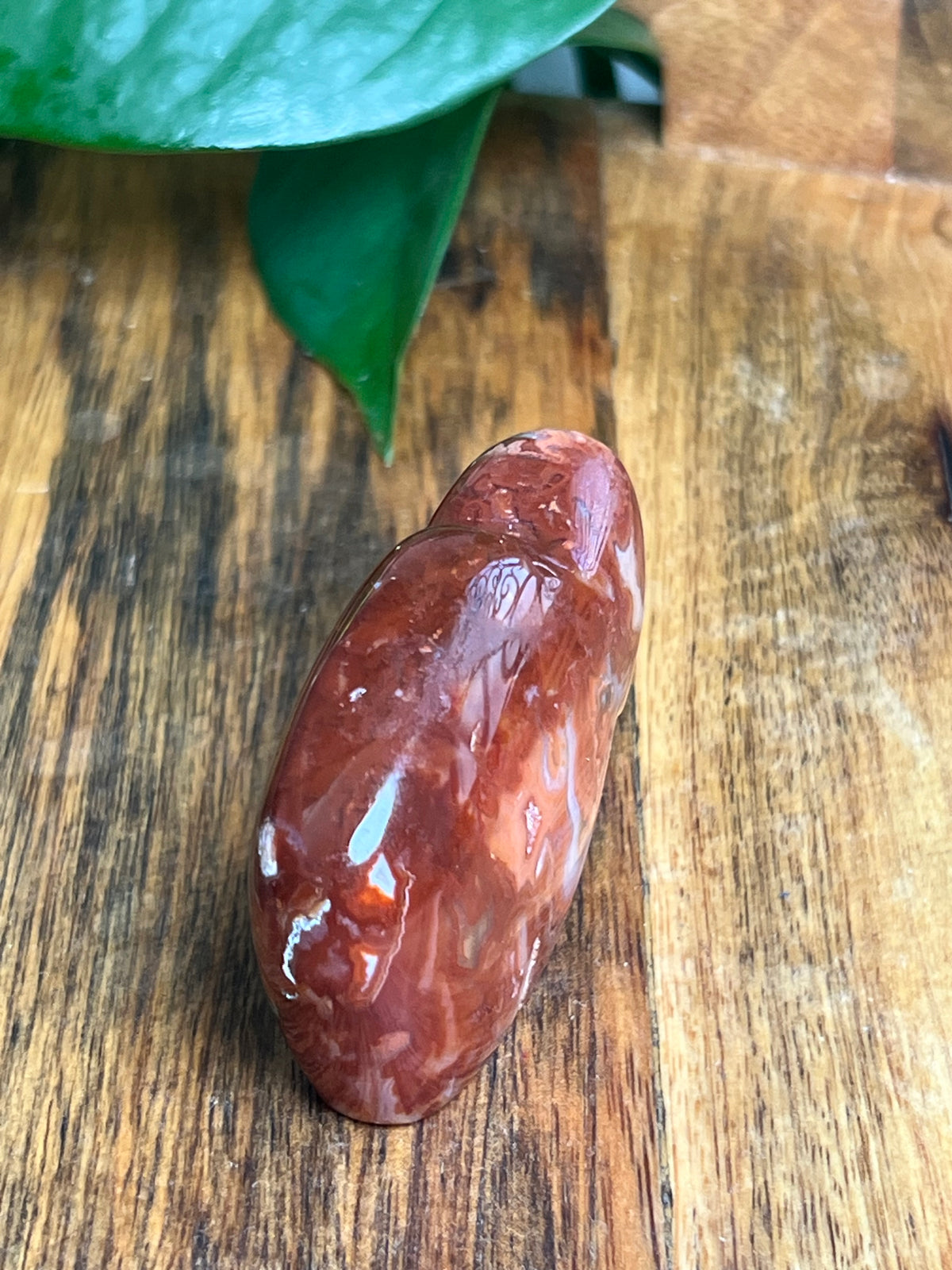 Carnelian Mini Buffalo: FK