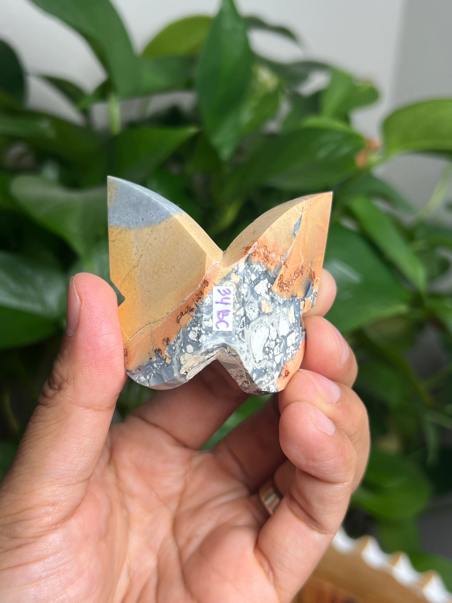 Maligano 3D Butterfly: BC