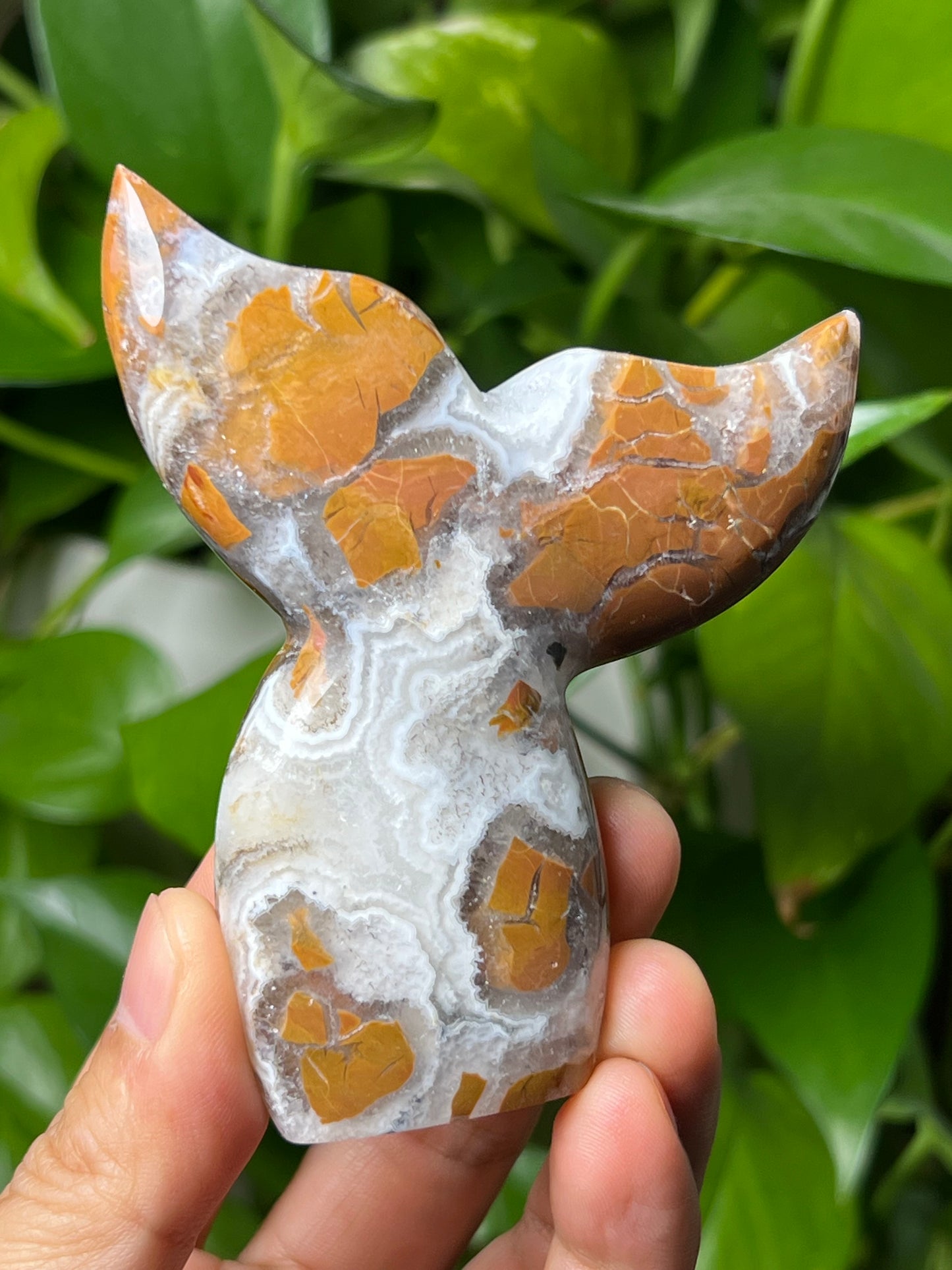 Brecciated Jasper Tail