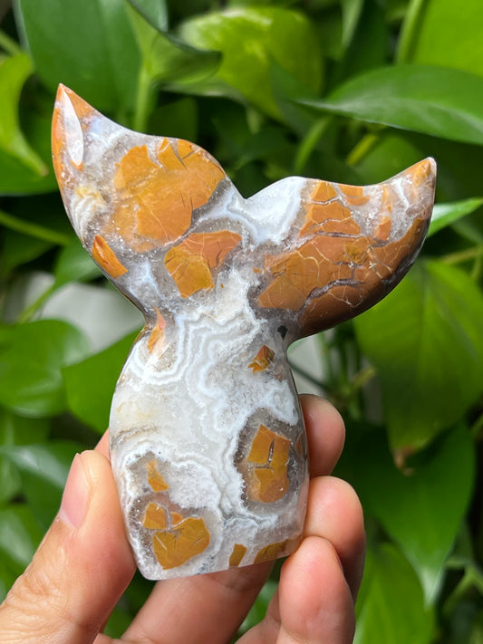 Brecciated Jasper Tail