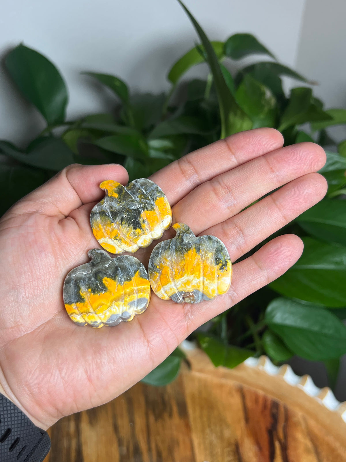 Bumblebee Jasper Mini Pumpkin
