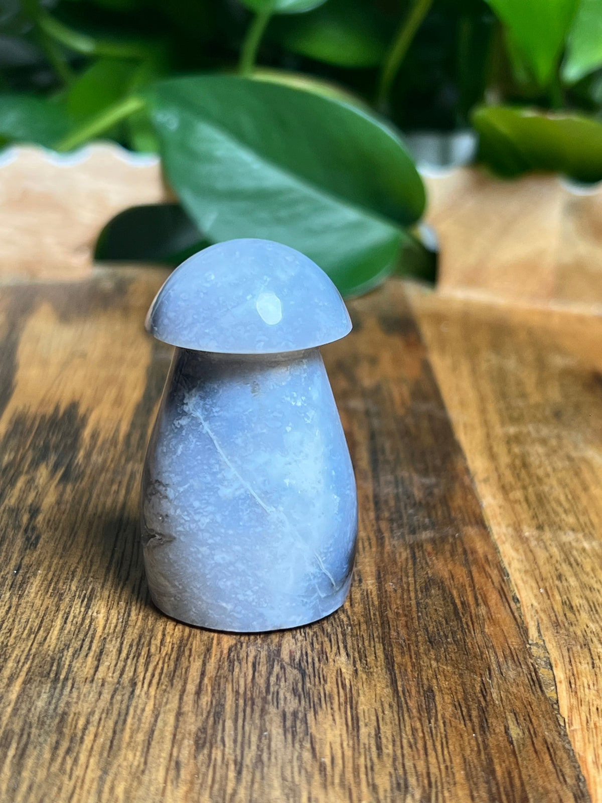 Blue Plume Agate Mushroom: TP