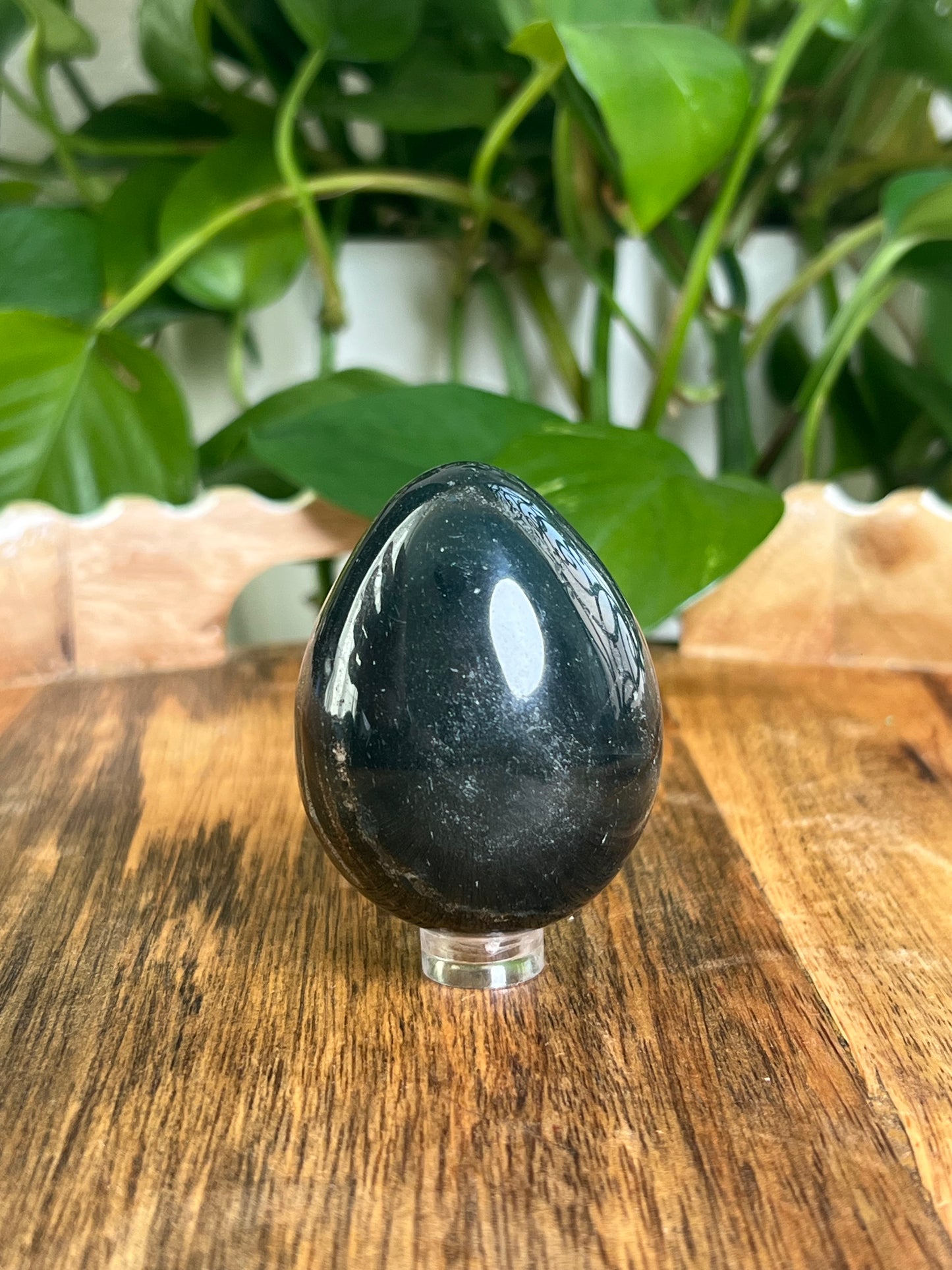 Blue Green Jasper Egg: RE