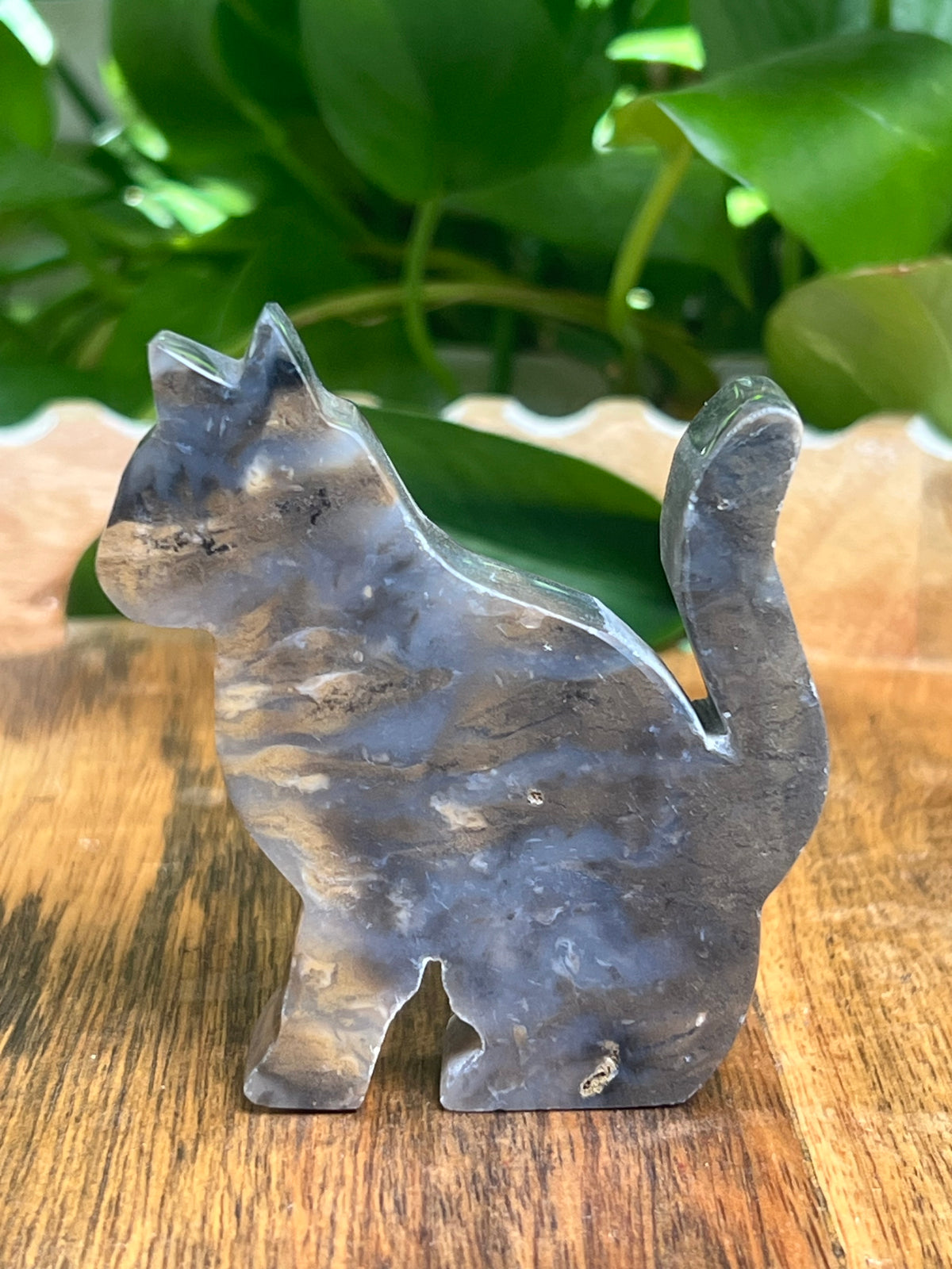 Dendritic Tiger Agate Cat: QB