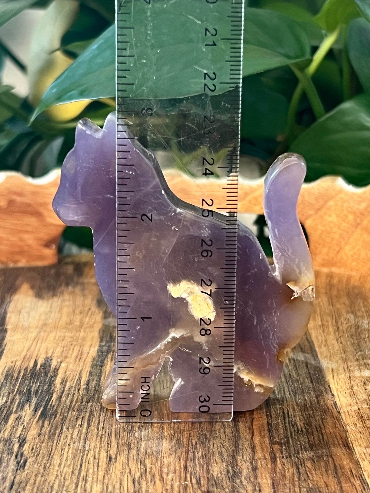Purple Chalcedony Cats