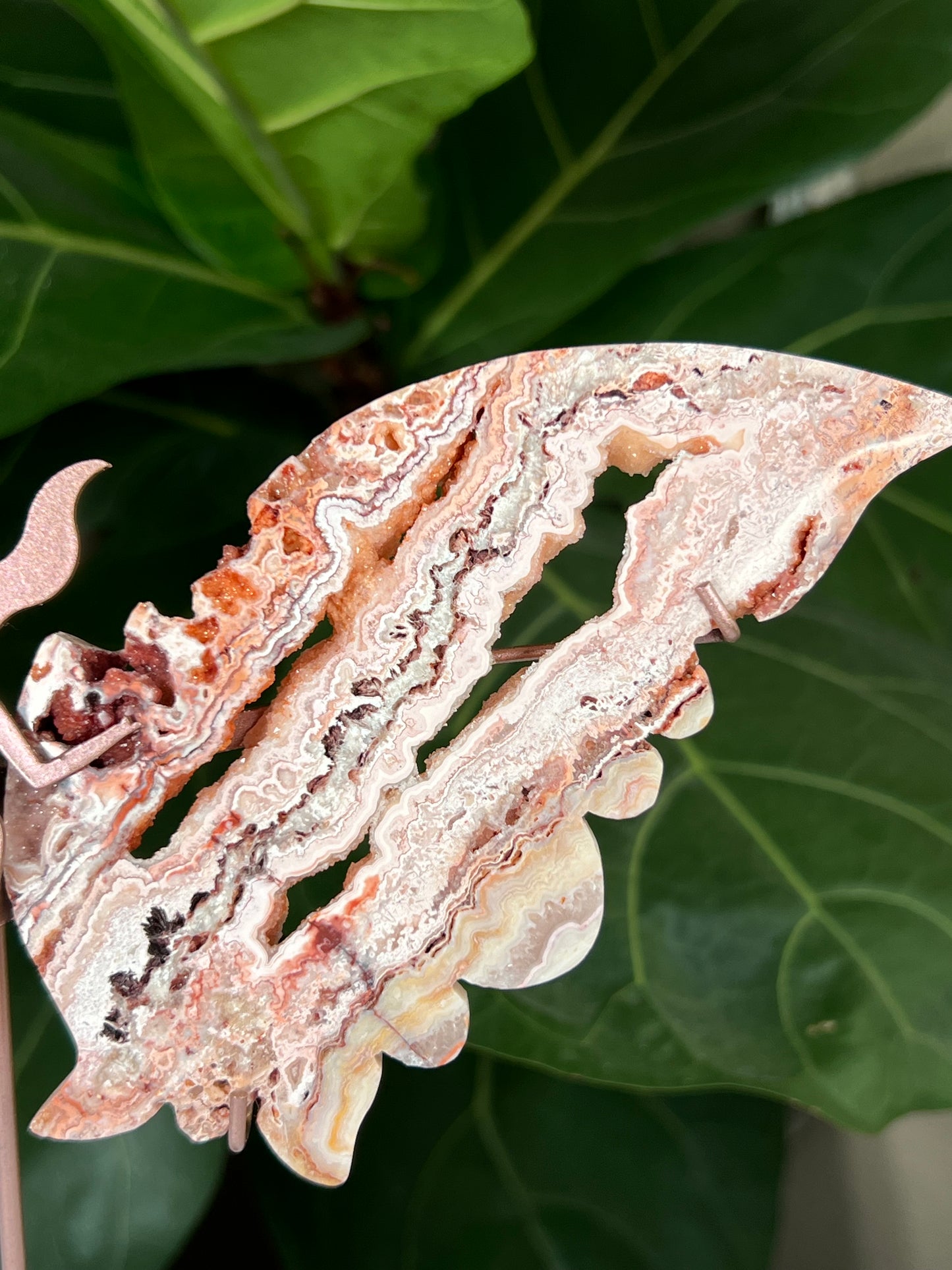 Crazy Lace Agate Wings