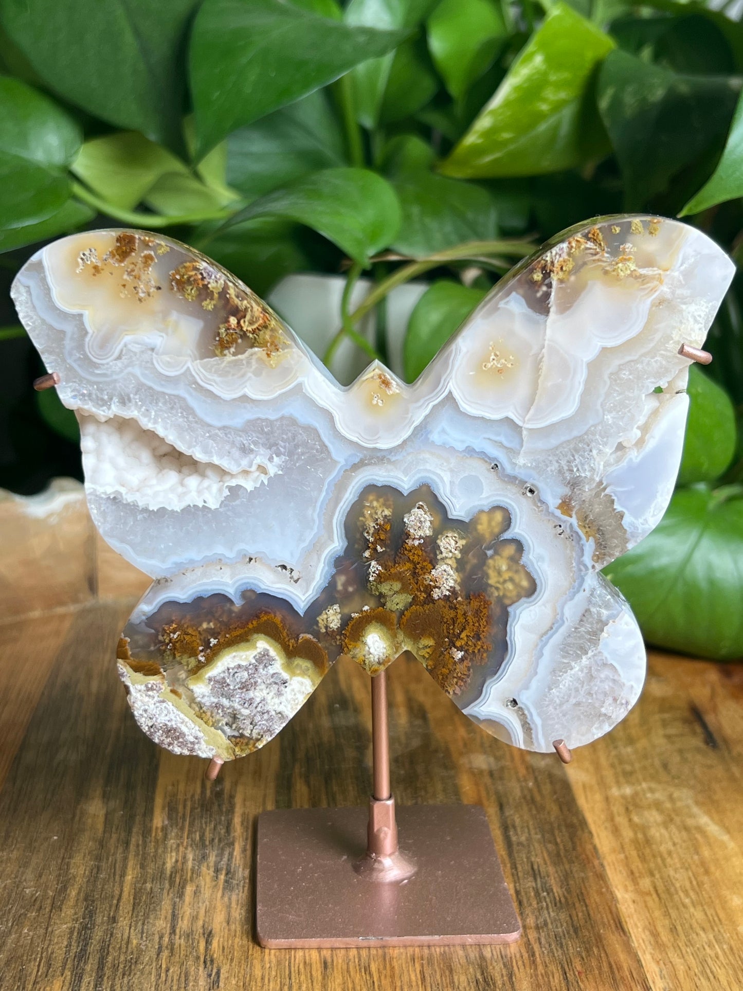 Scenic Moss Agate Butterfly