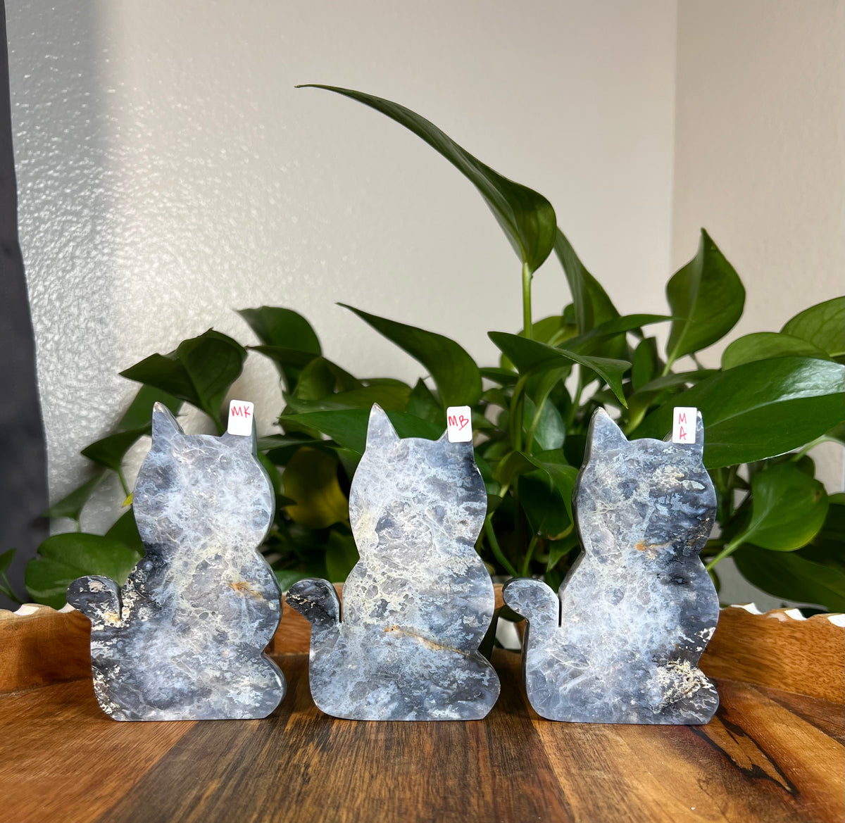 Blue Plume Agate Cats
