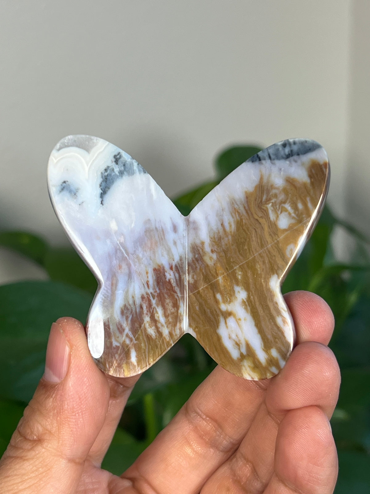 Milky River Jasper 3D Butterflies