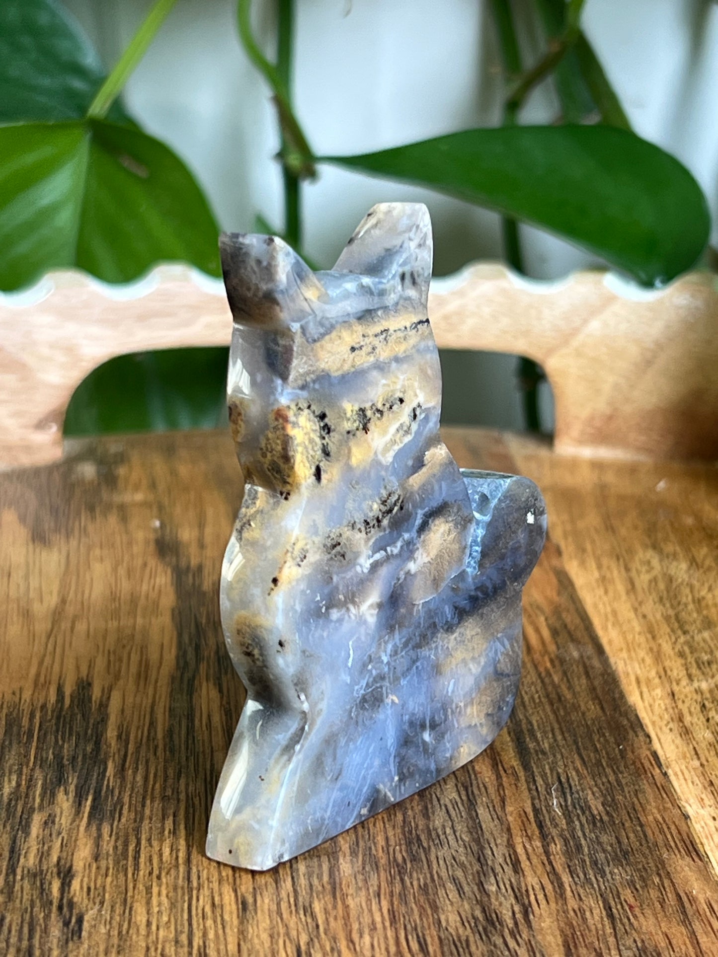 Dendritic Tiger Agate Cat AD