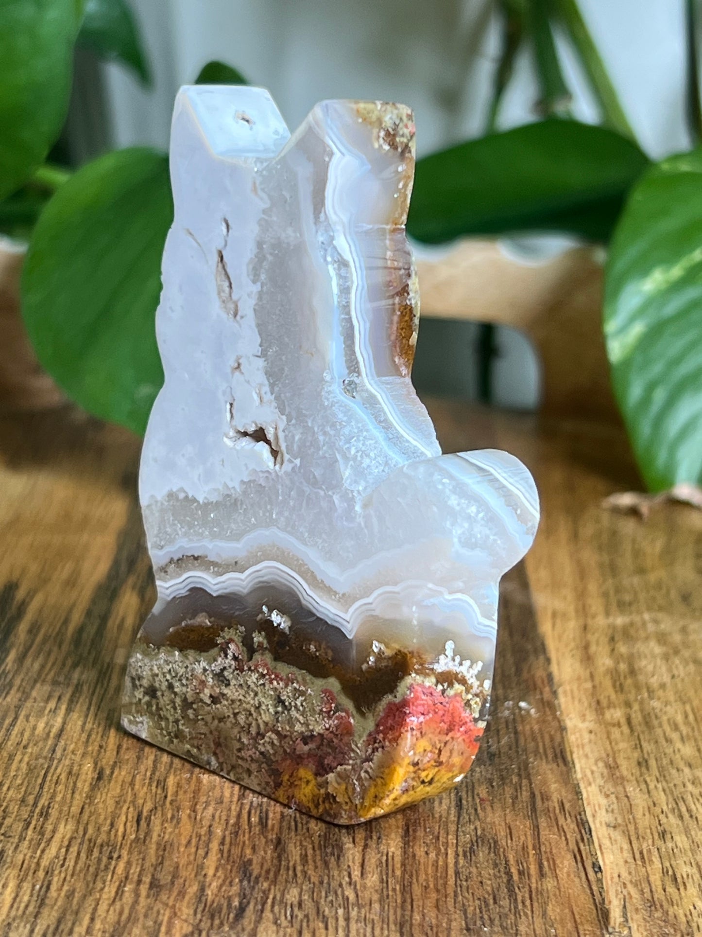 Scenic Moss Agate Cat HU