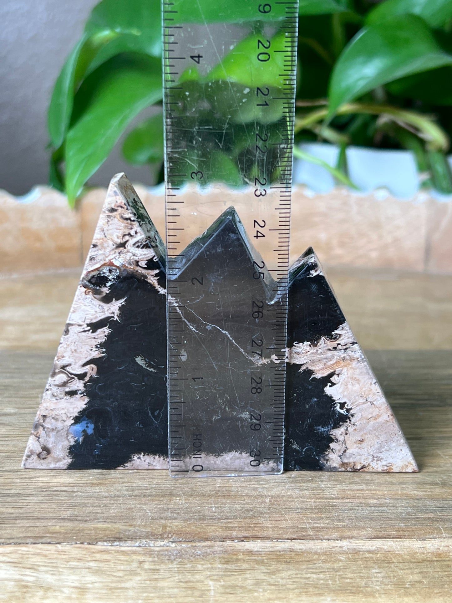 Palm Root Mountain