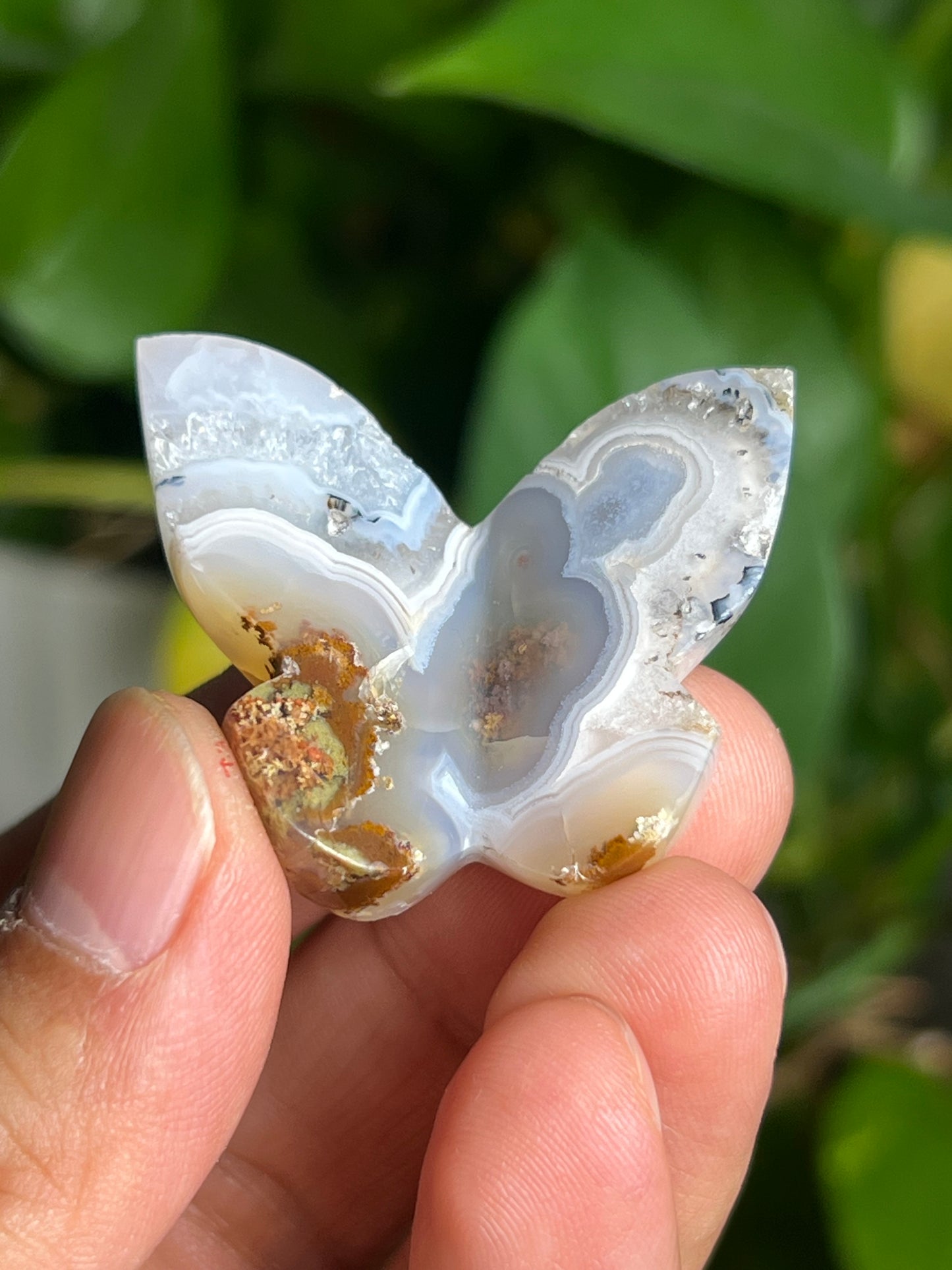 Scenic Moss Agate 3D Butterfly K