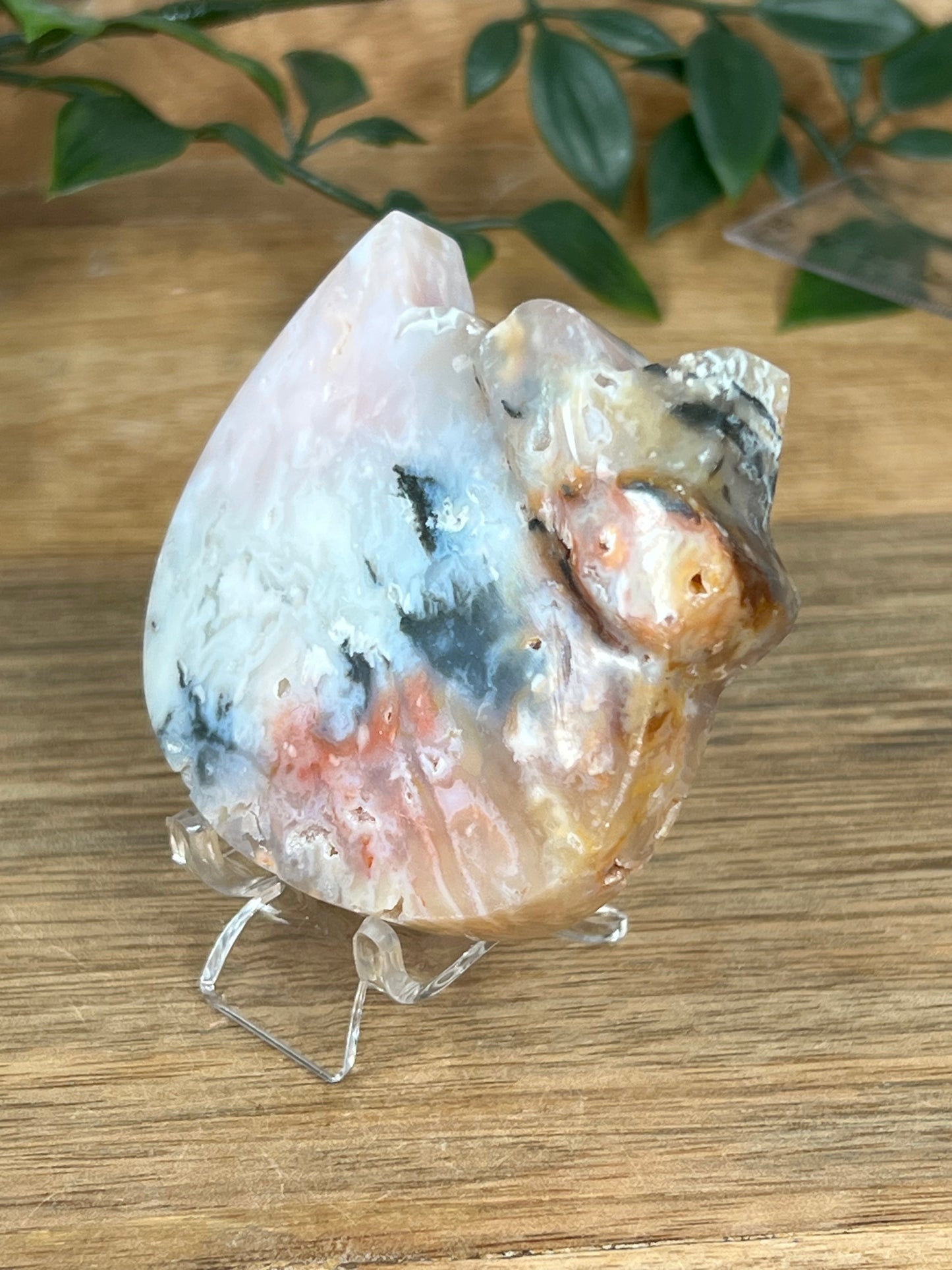 Rainbow Plume Agate Cat Head