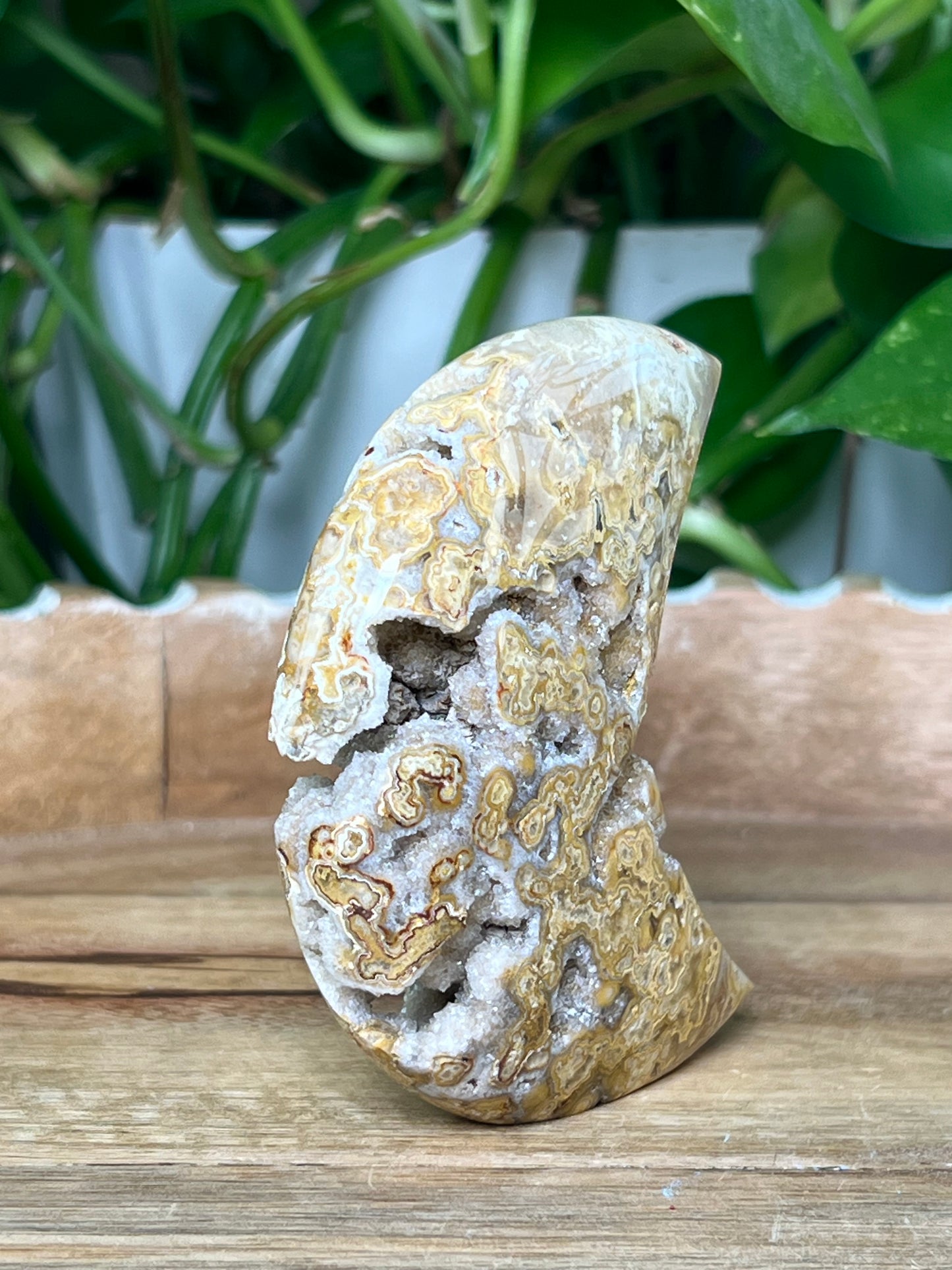 Crazy Lace Agate Moon
