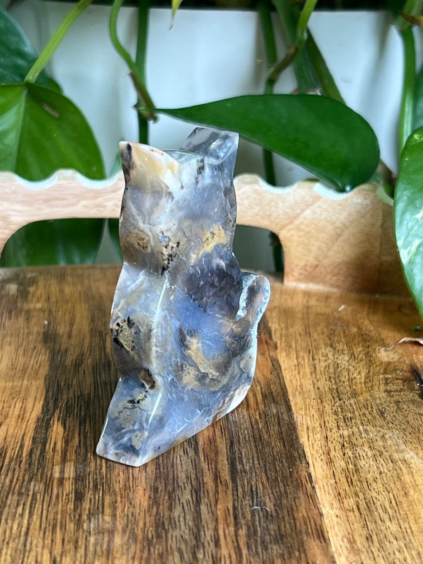 Dendritic Tiger Agate Cat AT