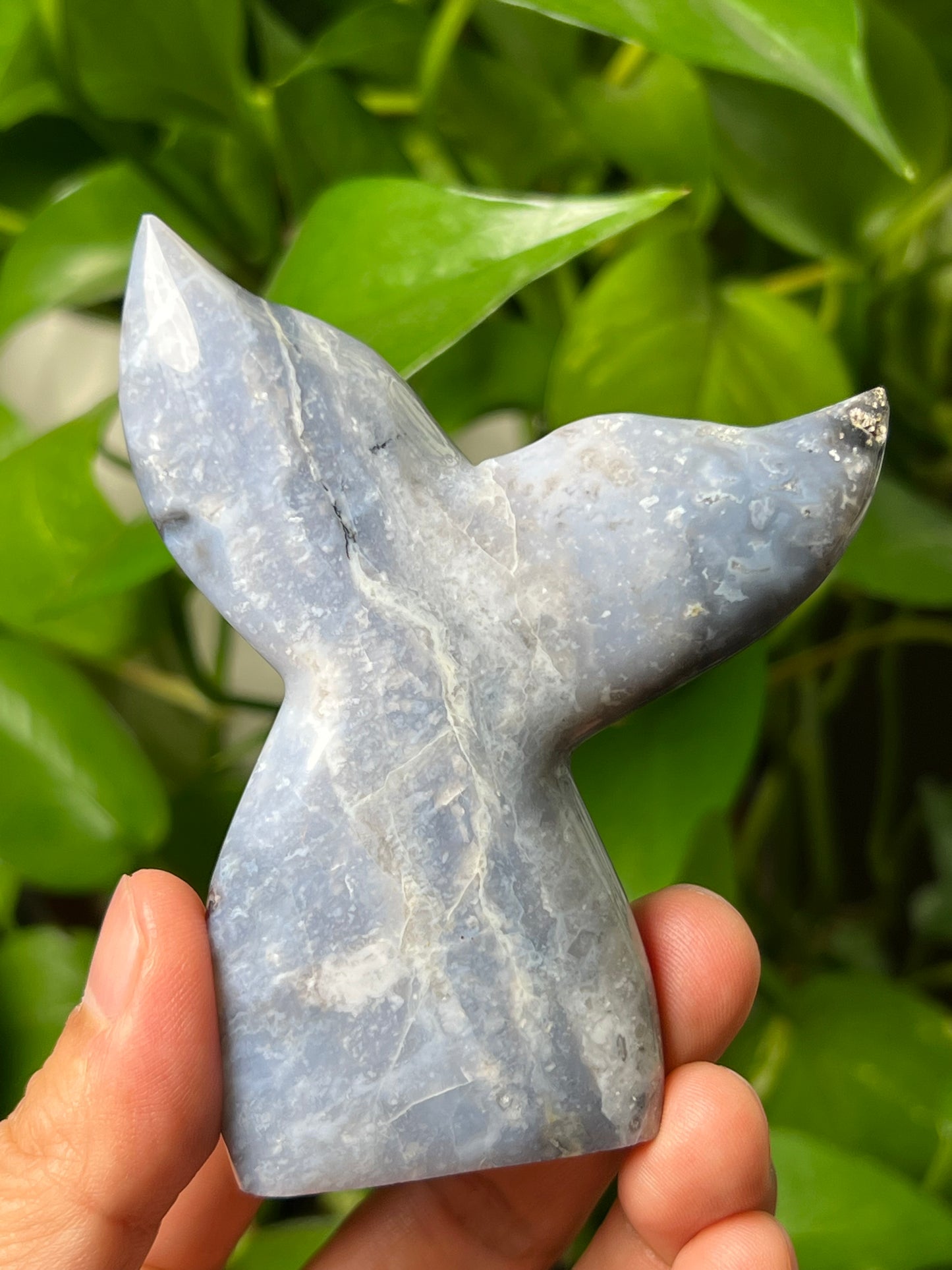 Purple Chalcedony Tail