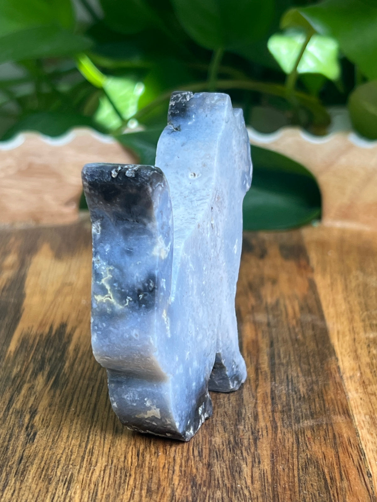 Blue Plume Agate Cat: AC