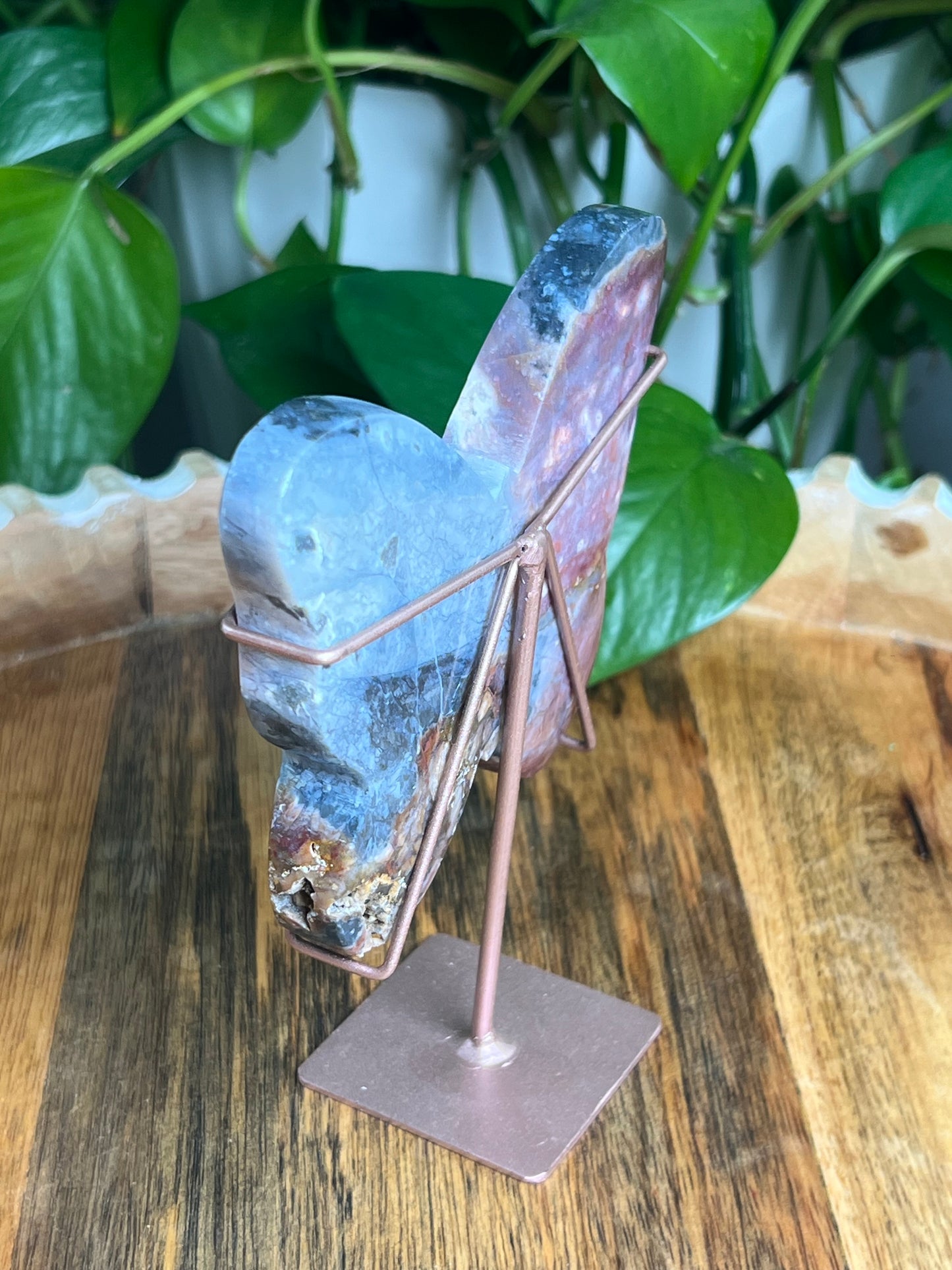 River Jasper Butterfly: KB