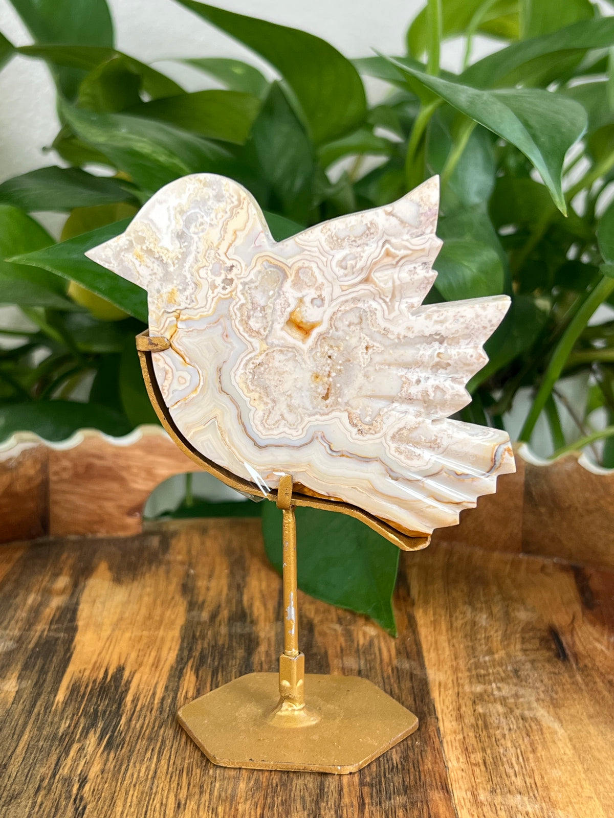 Crazy Lace Agate Birds