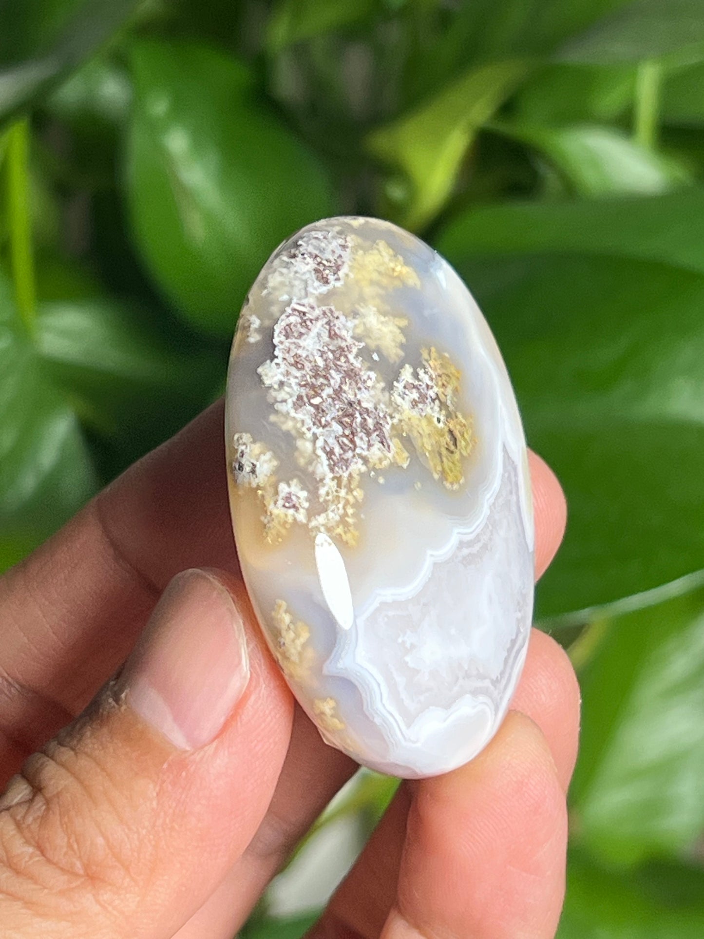 Scenic Moss Agate Palmstone: BH