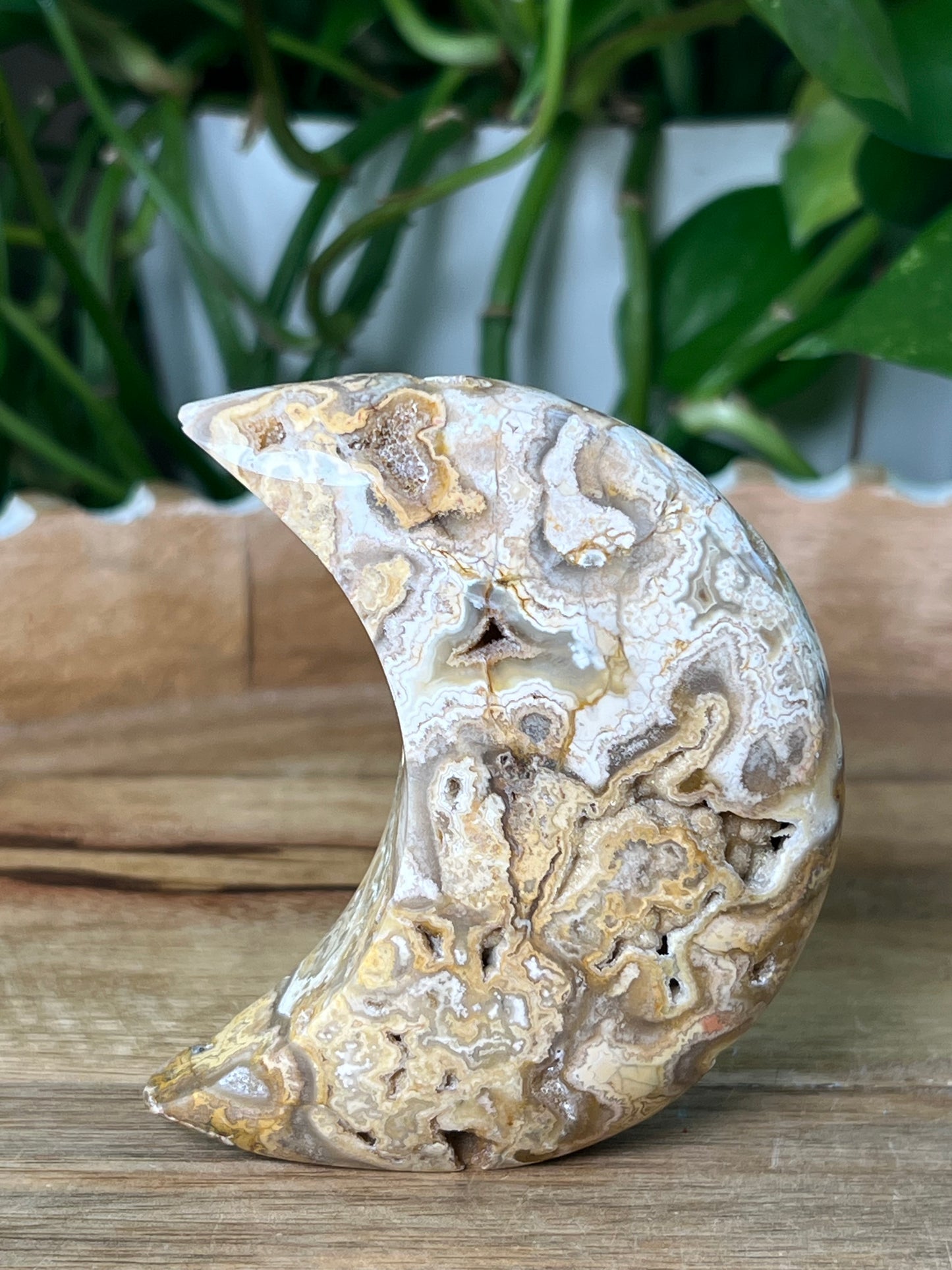 Crazy Lace Agate Moon