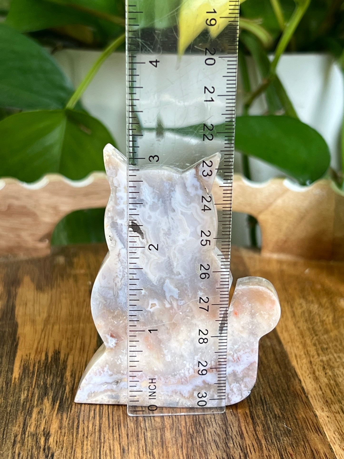 Sumatra Agate Cat EE