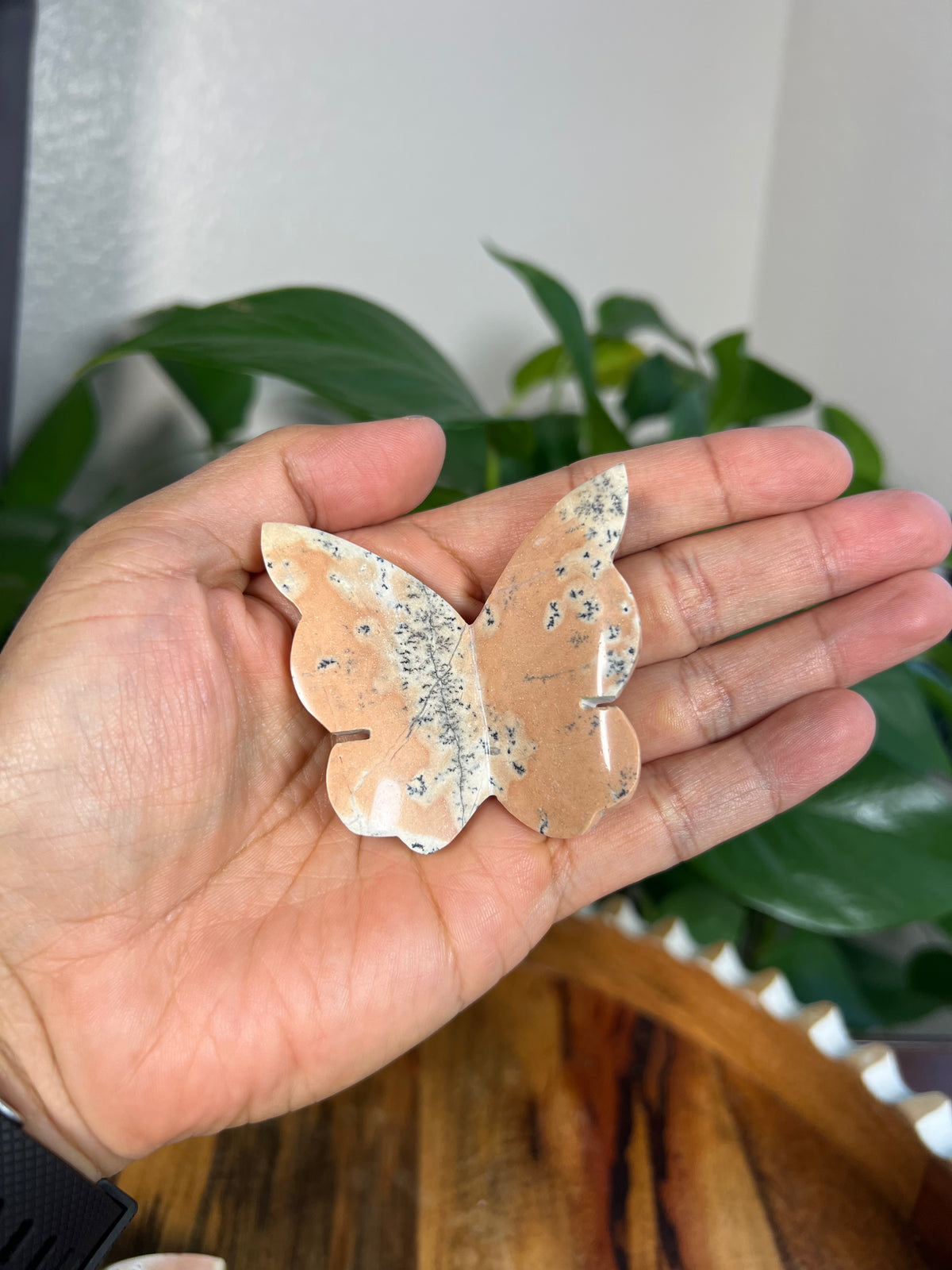 Peachy Pink Dendritic Jasper 3D Butterflies