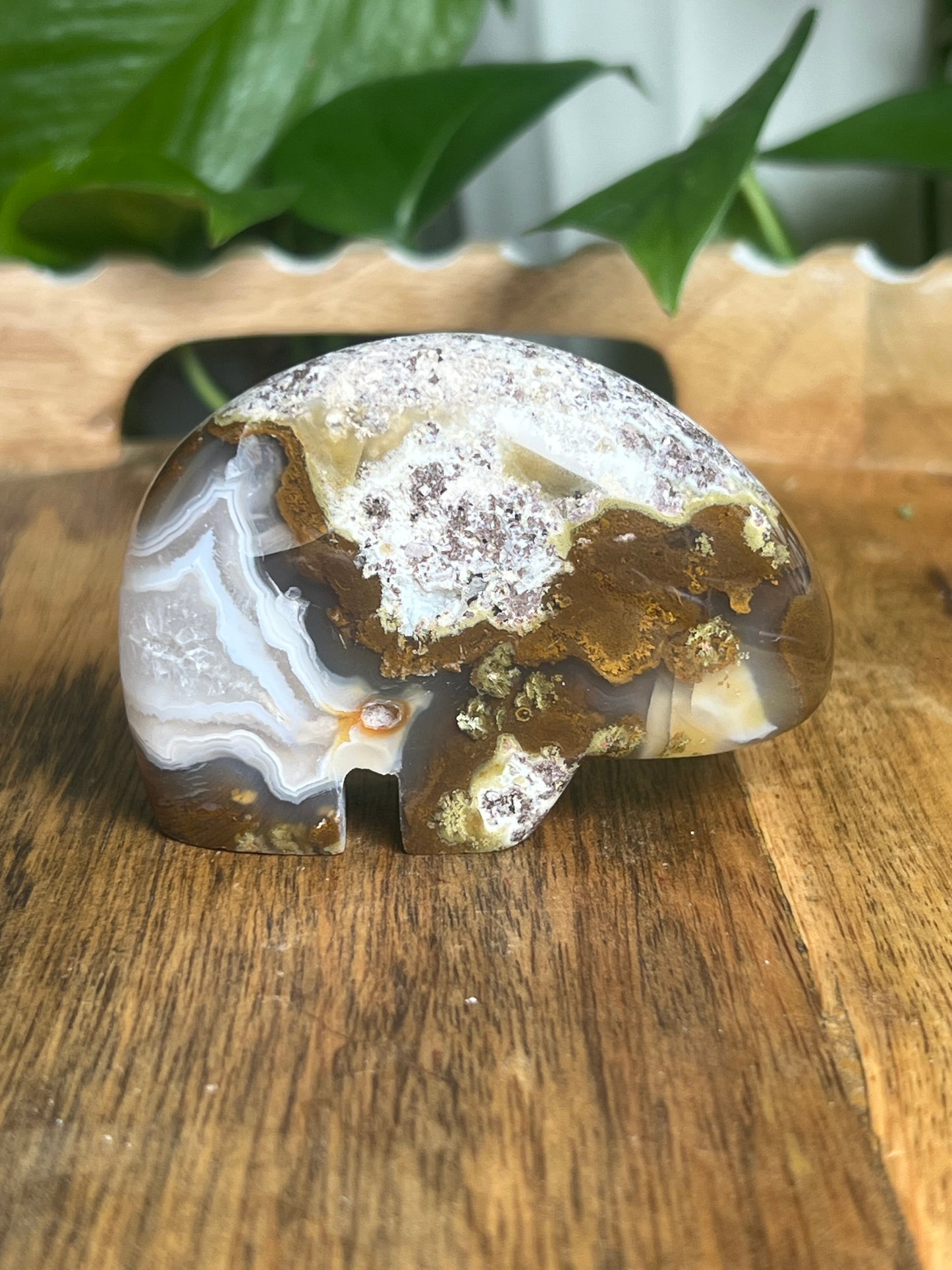 Scenic Moss Agate Bear BK