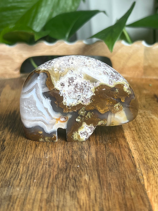 Scenic Moss Agate Bear BK