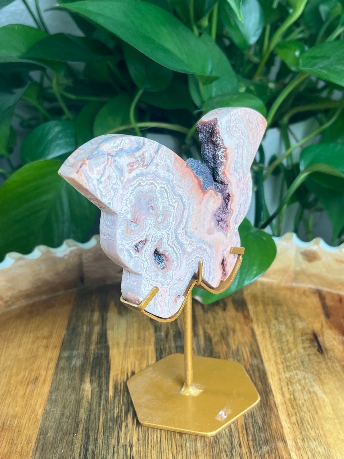 Crazy Lace Agate Butterfly: PG