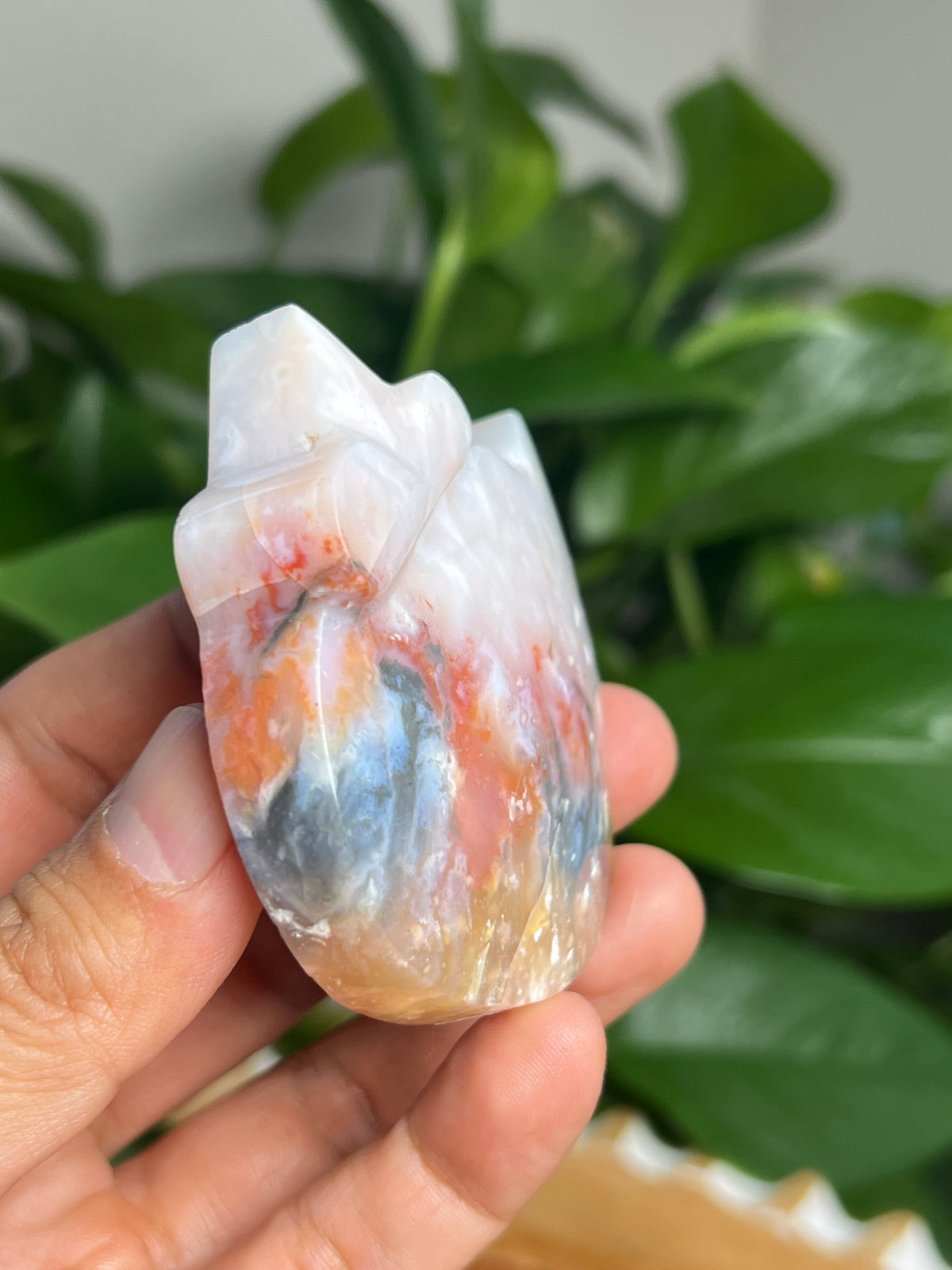 Rainbow Plume Agate Cat: FD