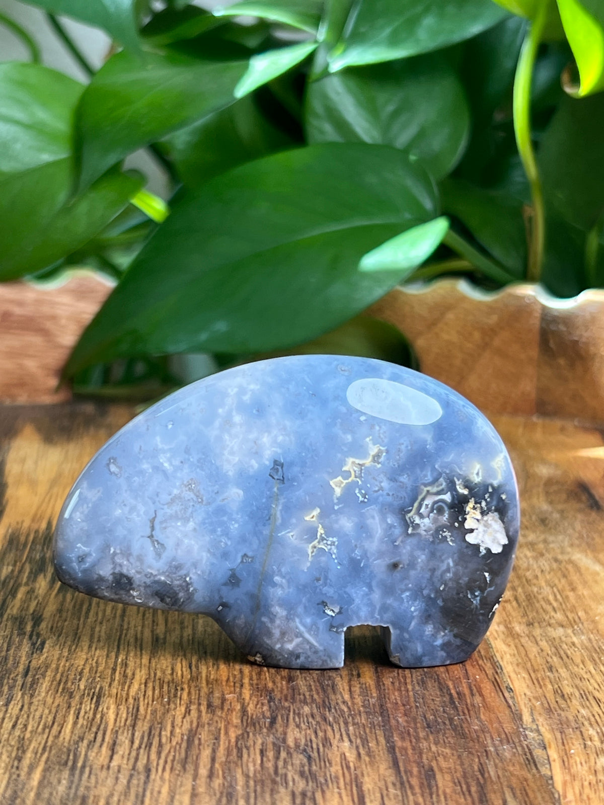 Blue Plume Agate Bear: DN