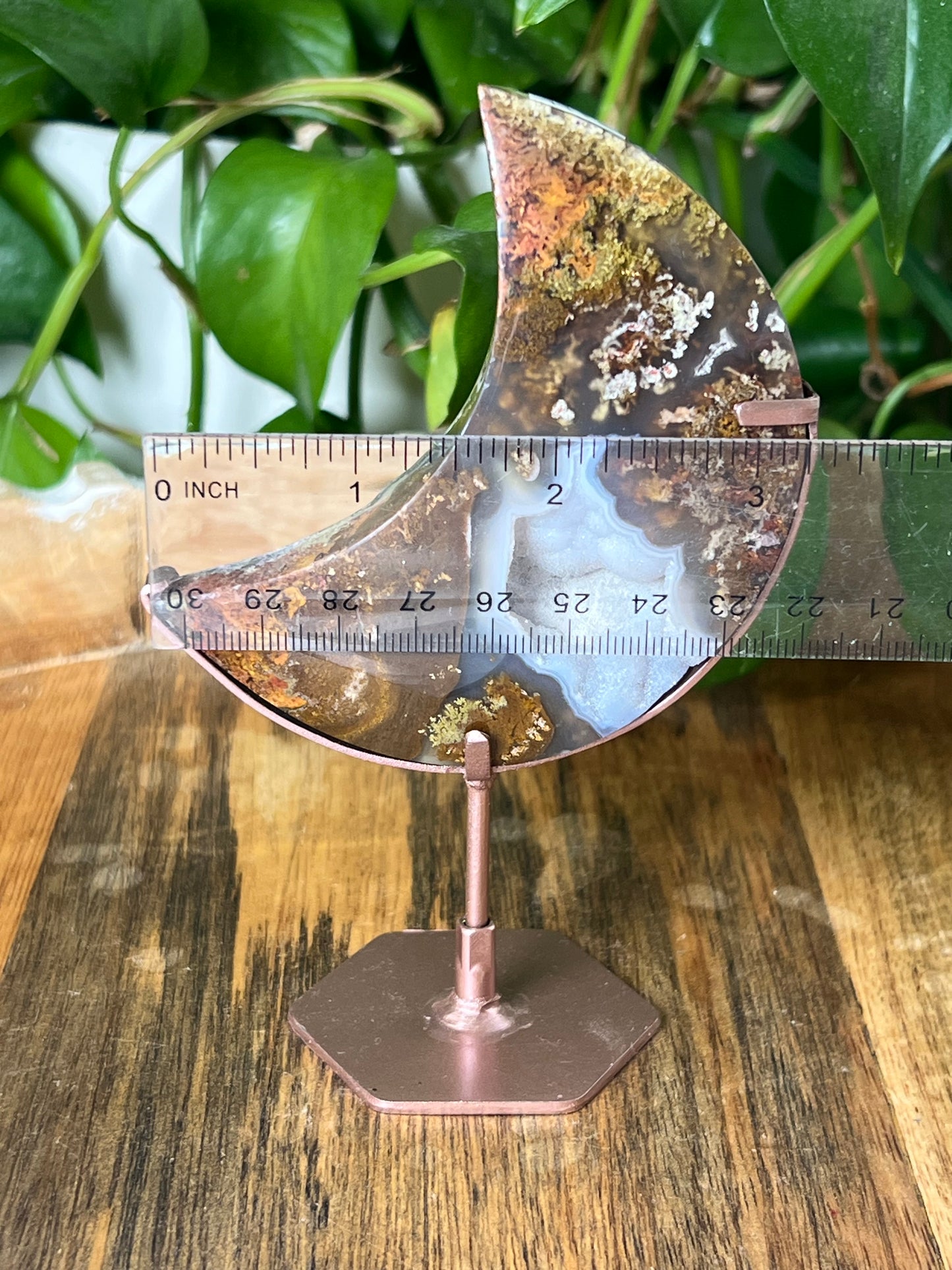 Scenic Moss Agate Moon