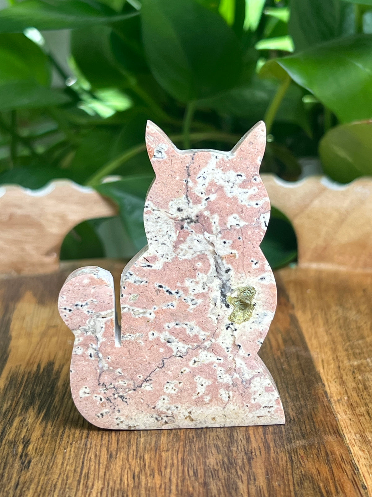 Dendritic Jasper Cat: AK